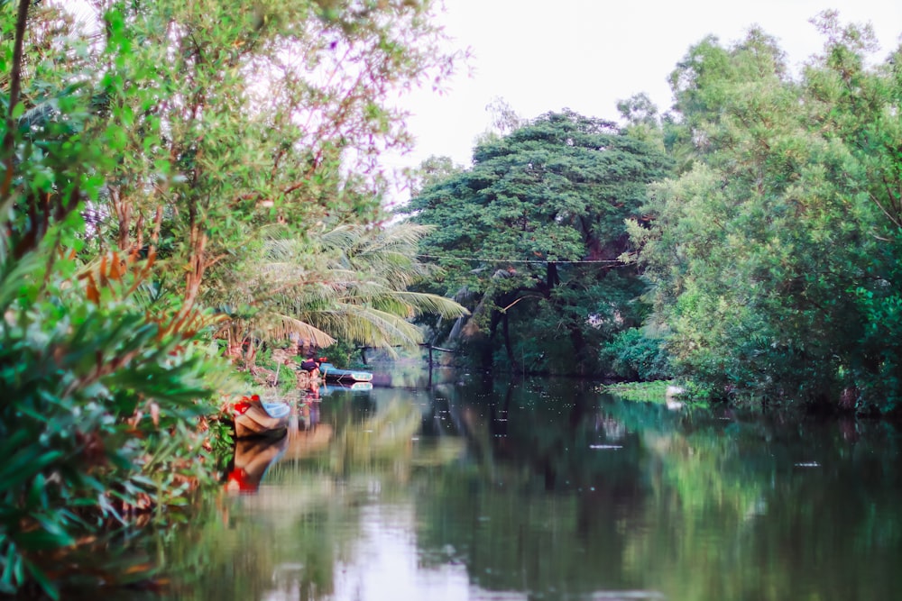 a body of water surrounded by trees and a bridge