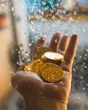 a hand holding a gold coin in front of a window