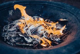 Flames engulf a burning photograph in a fire pit. Surrounding the photo are ashes and charred pieces of wood. The fire is dynamic, with bright orange and yellow flames standing out against the dark background.