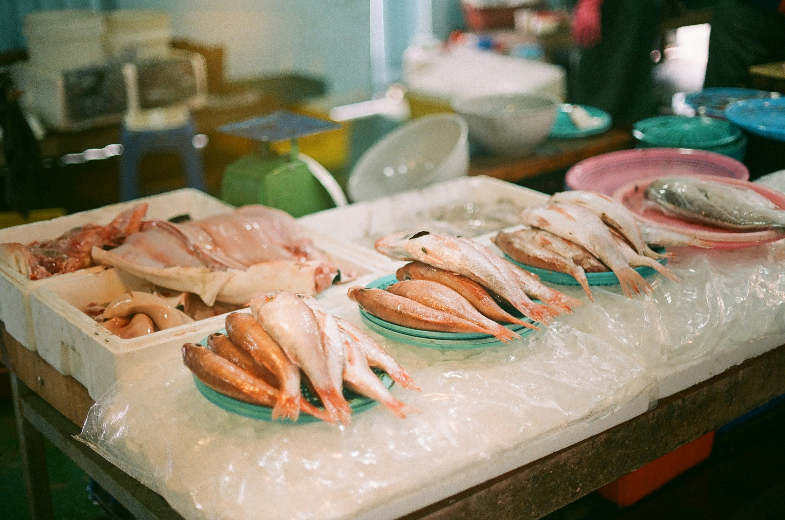 a bunch of fish that are on a table
