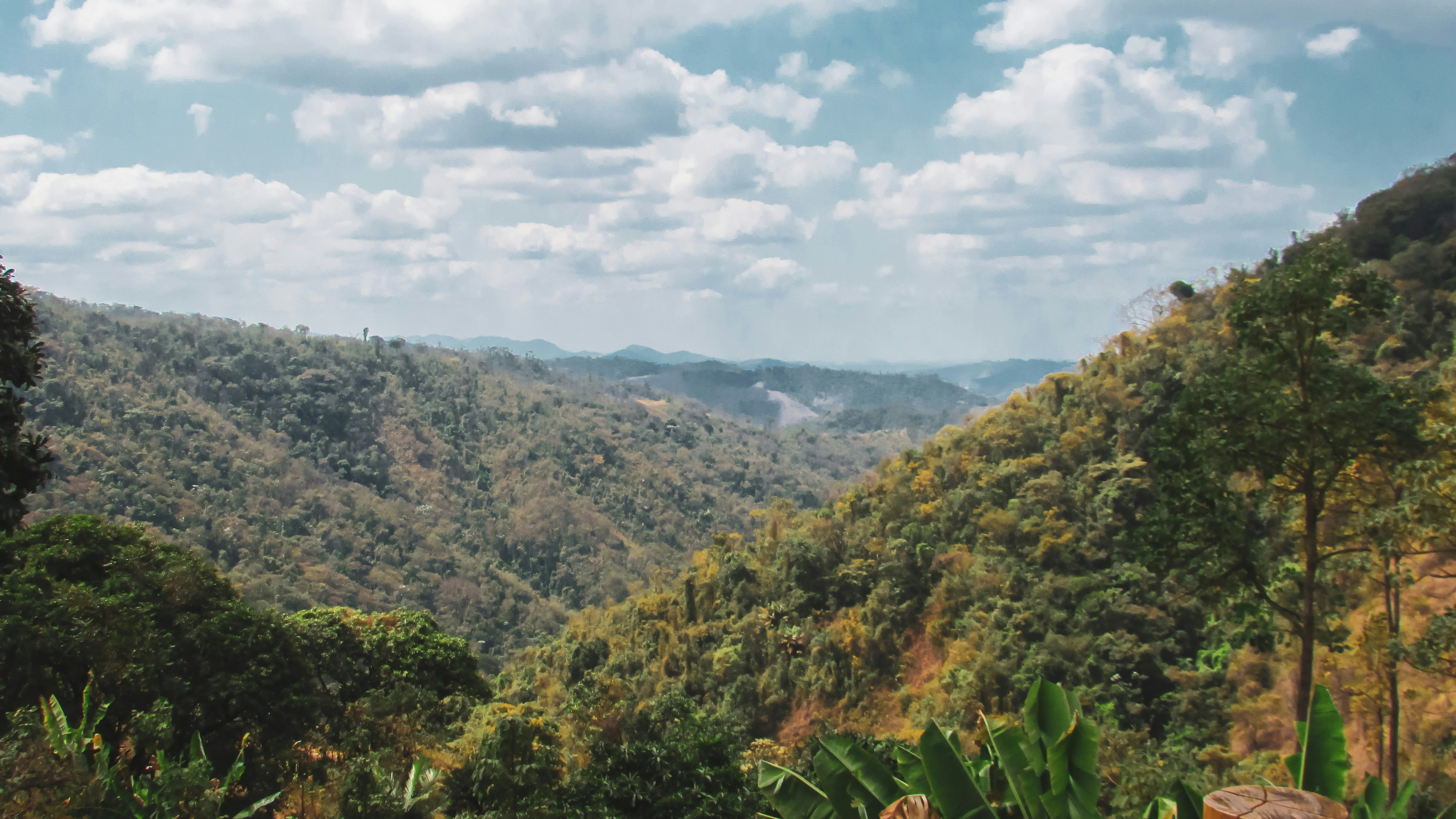 Photo by eualicegodoy