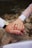 A couple holding hands, showcasing their elegant matching rings in natural light.