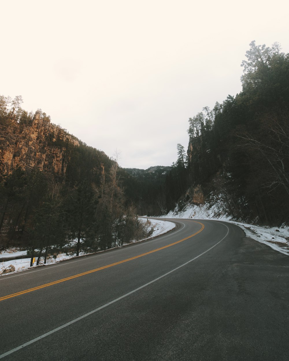 a road in the middle of a snowy forest