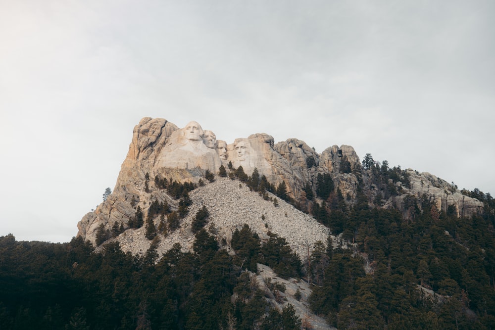 a mountain with trees on the side of it