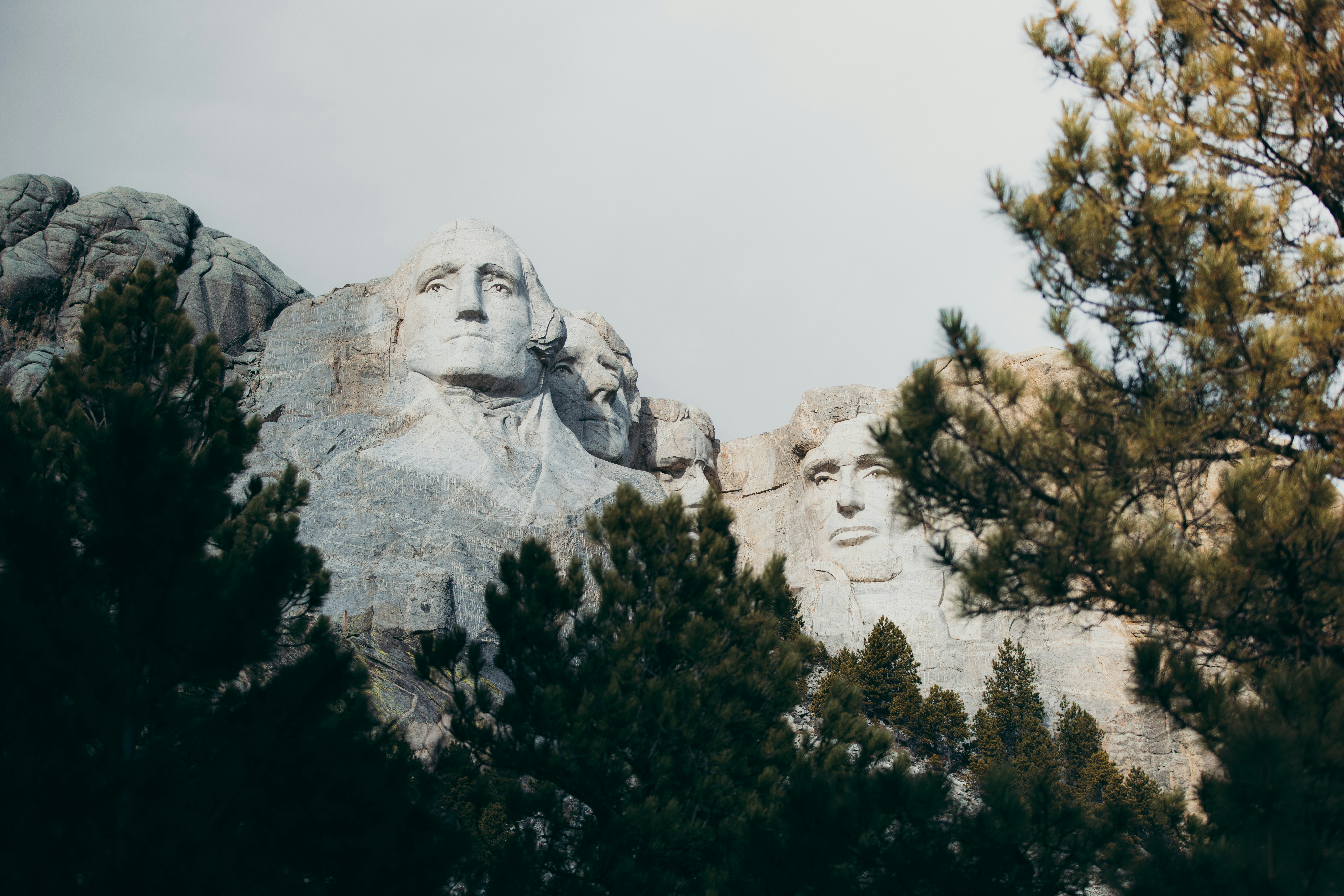Una vista dei presidenti degli Stati Uniti da dietro gli alberi