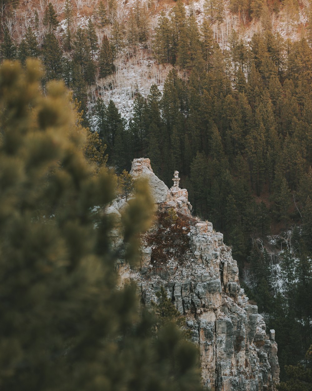 a person standing on top of a mountain next to a forest