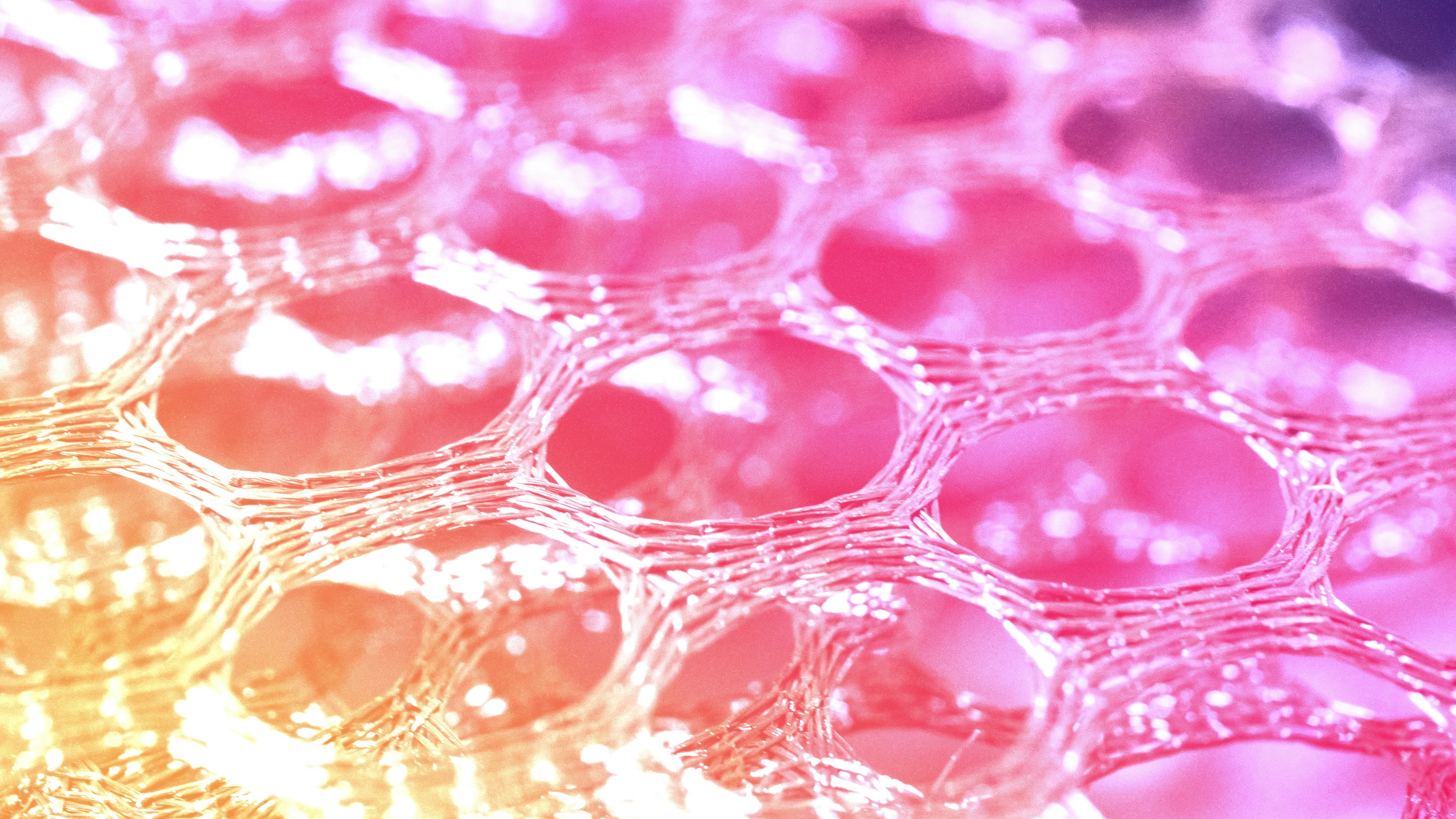 Photo by paoalchapar