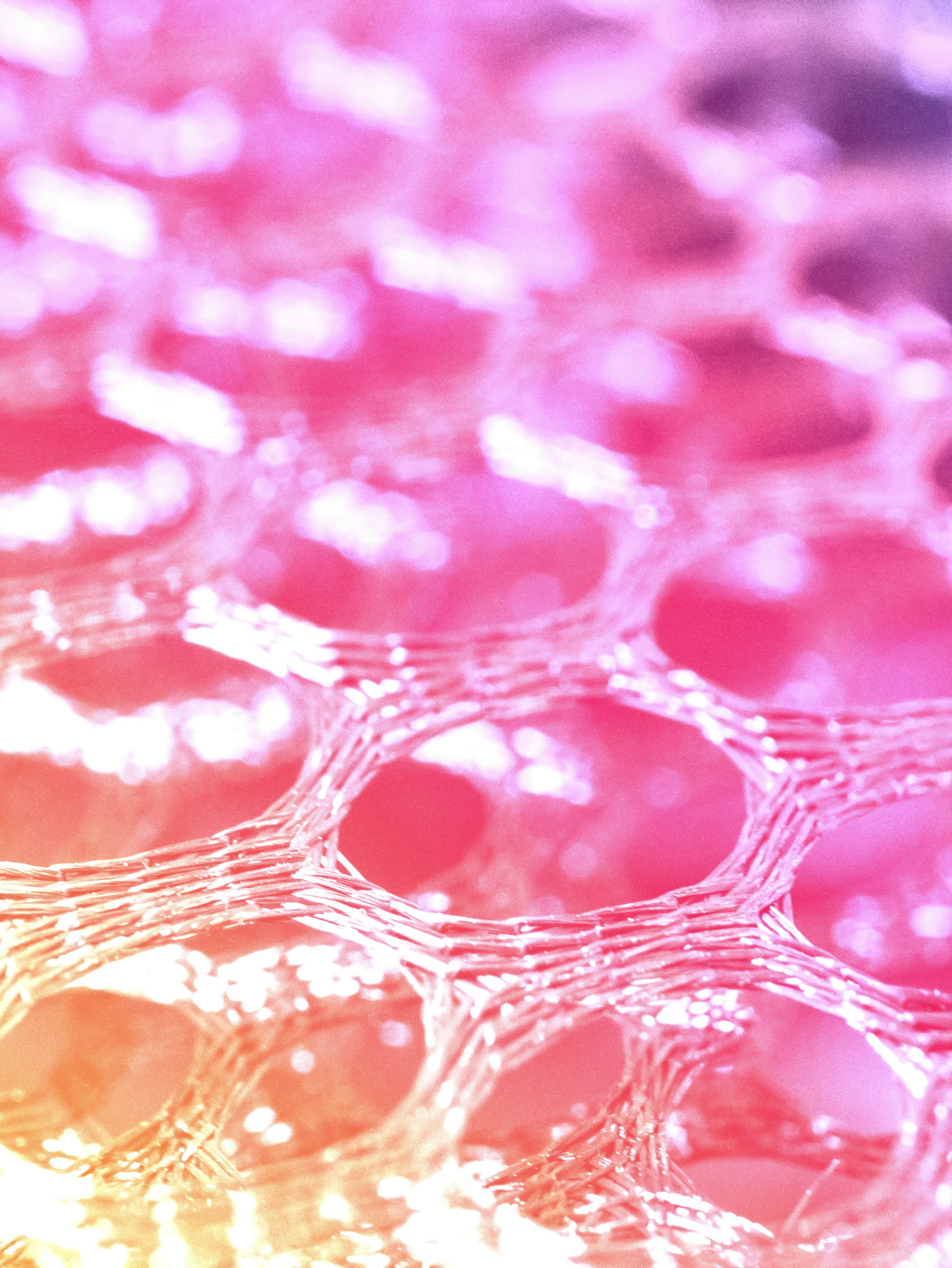 Photo by paoalchapar