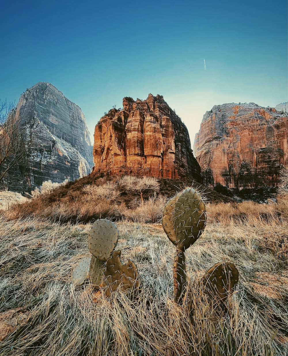a couple of rocks sitting on top of a dry grass field