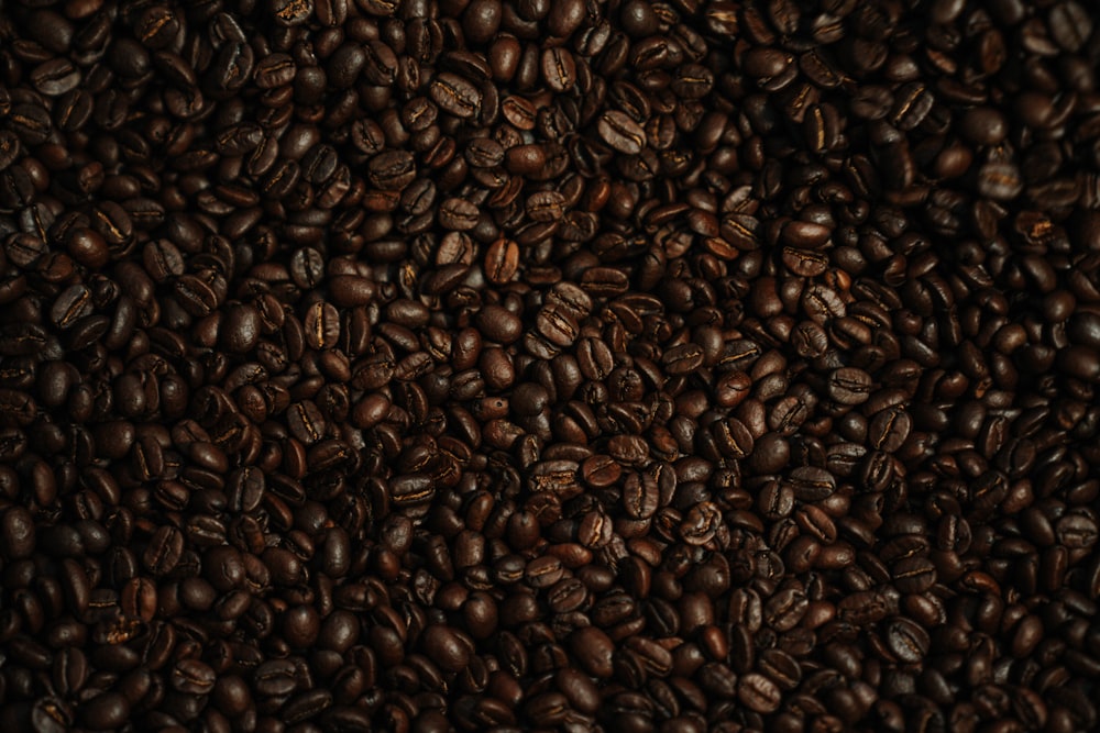 a close up of coffee beans