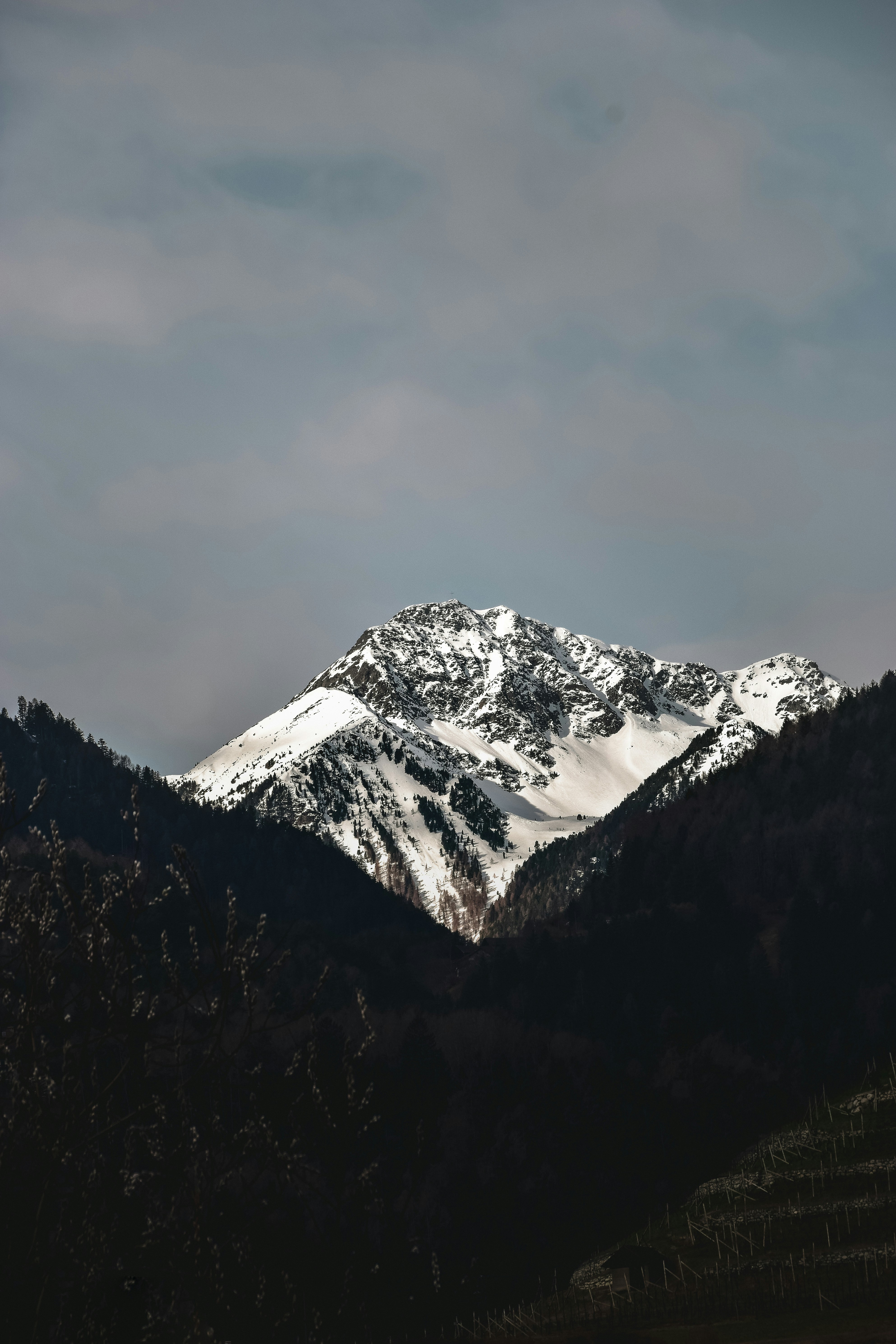 Photo by hannesvikoler_