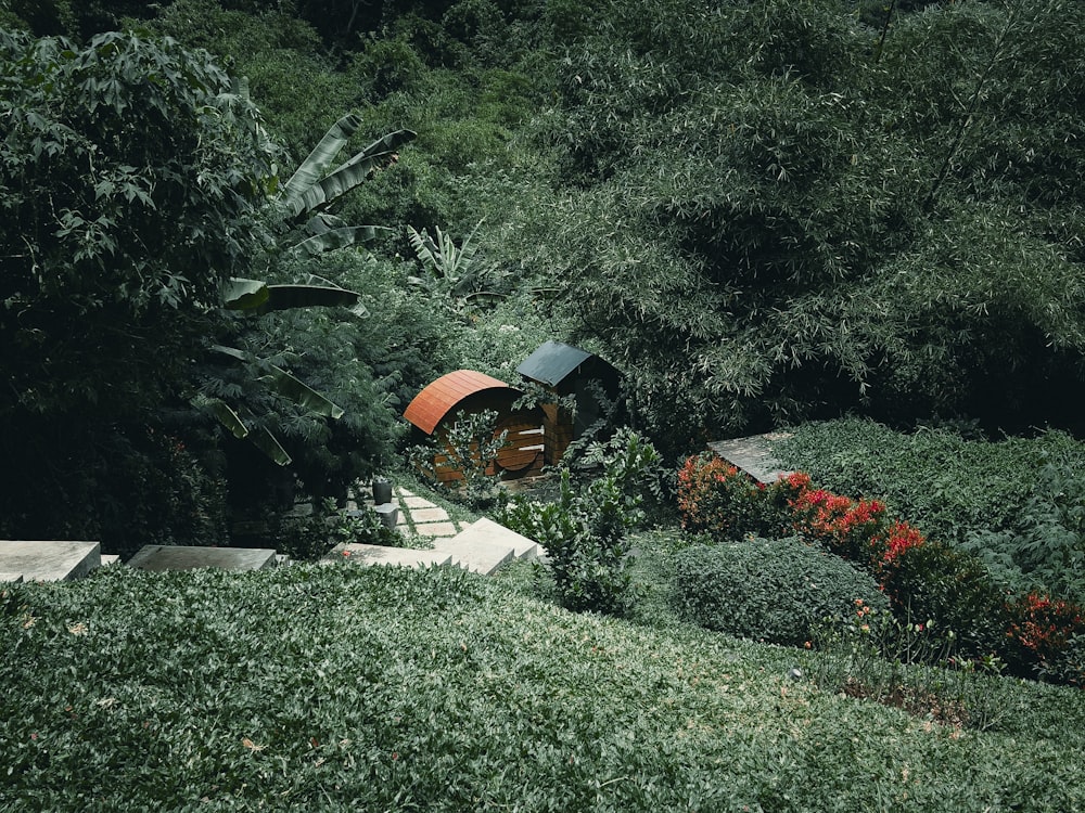 a wooden chair sitting on top of a lush green hillside