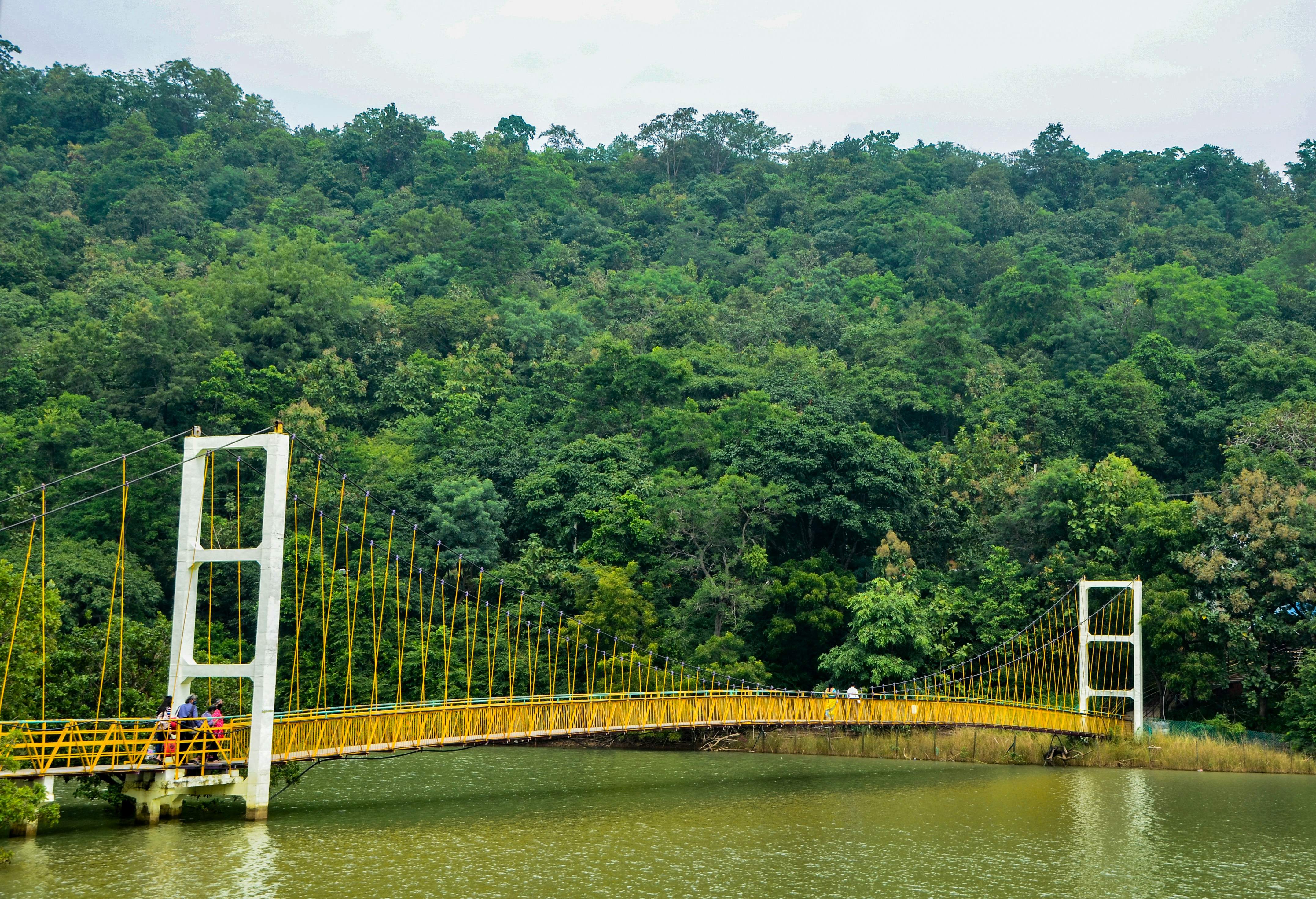 Un ponte su uno specchio d'acqua con alberi sullo sfondo
