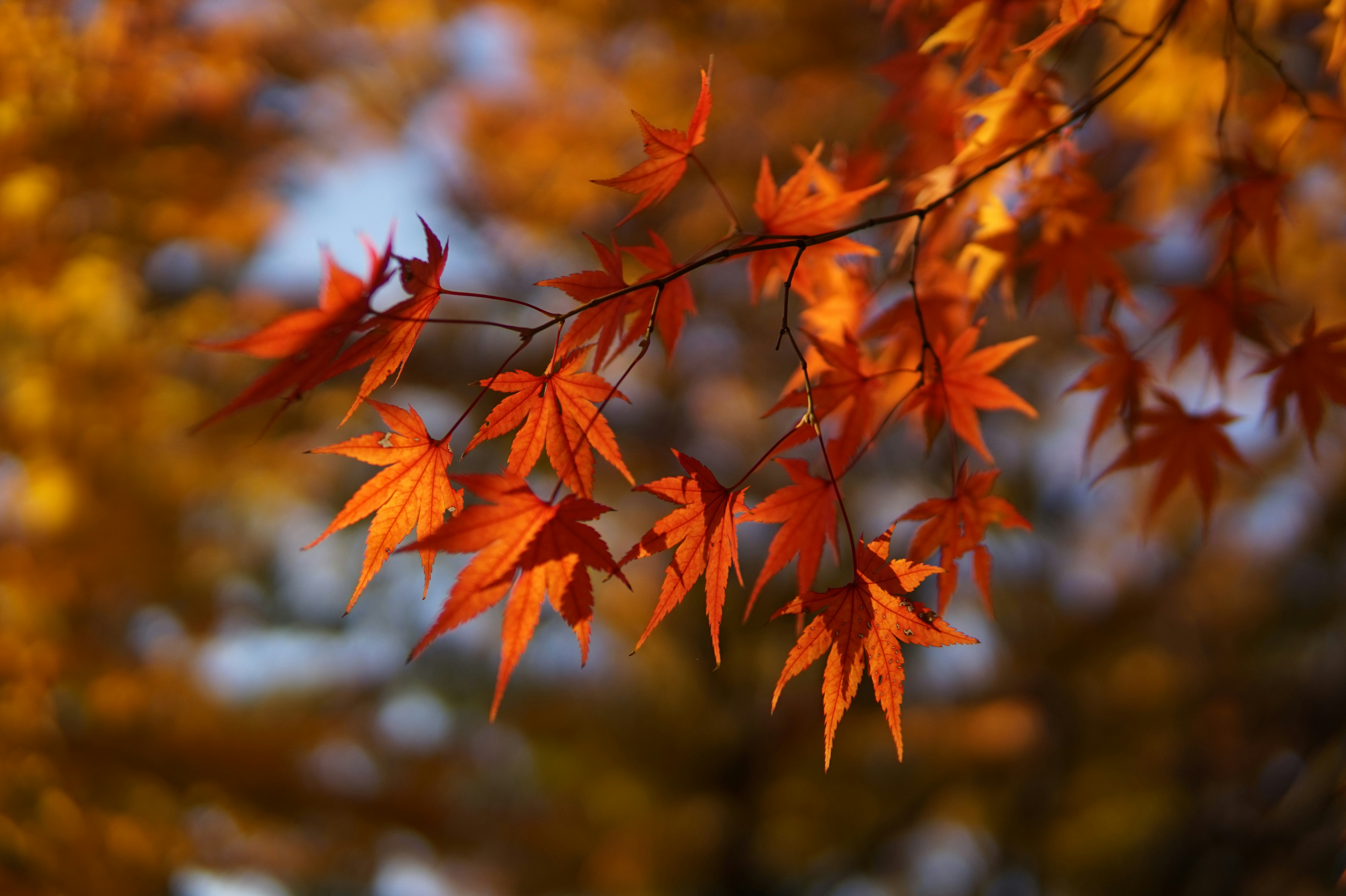 Photo by moonsun_archive