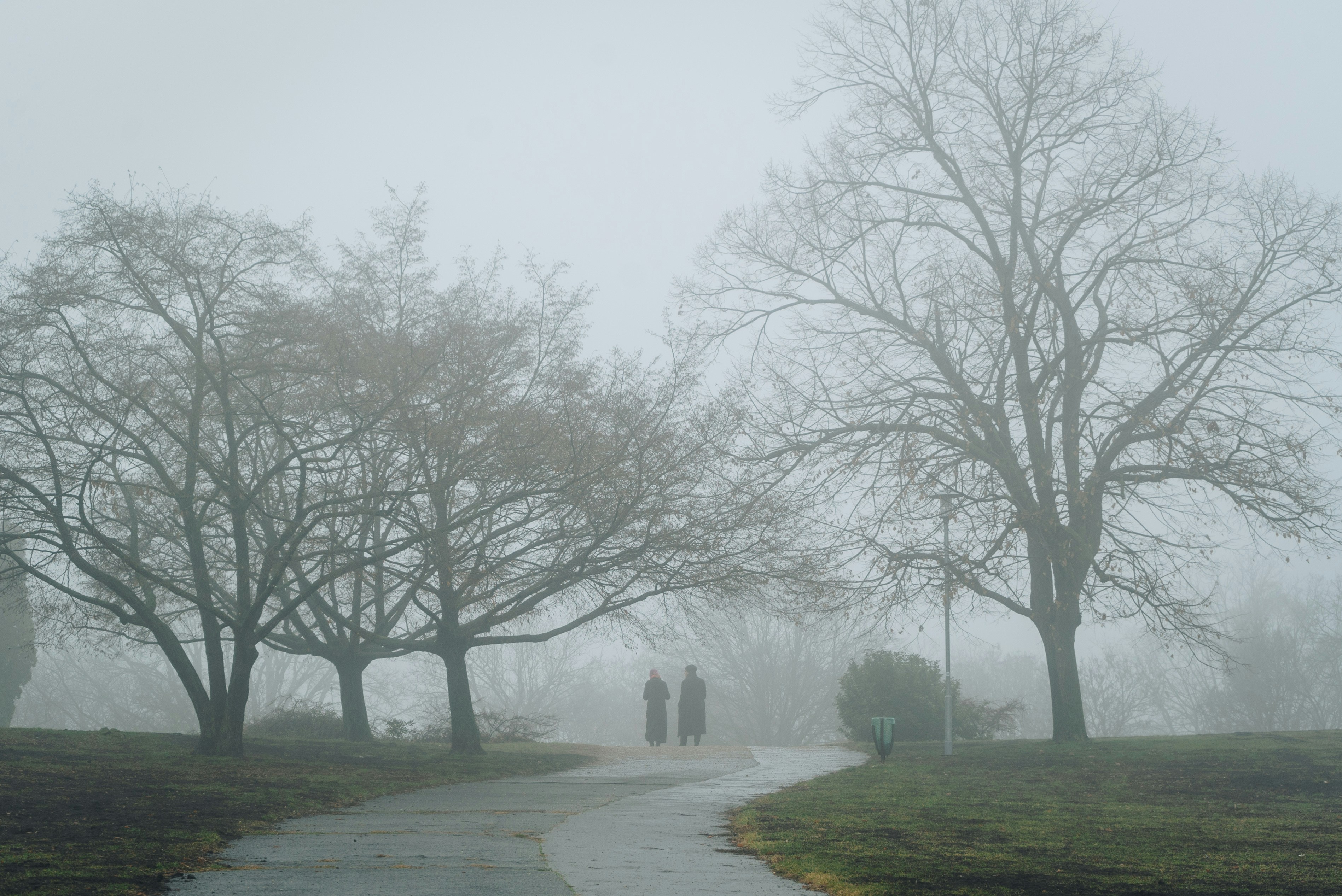 two people walking down a path in the fog