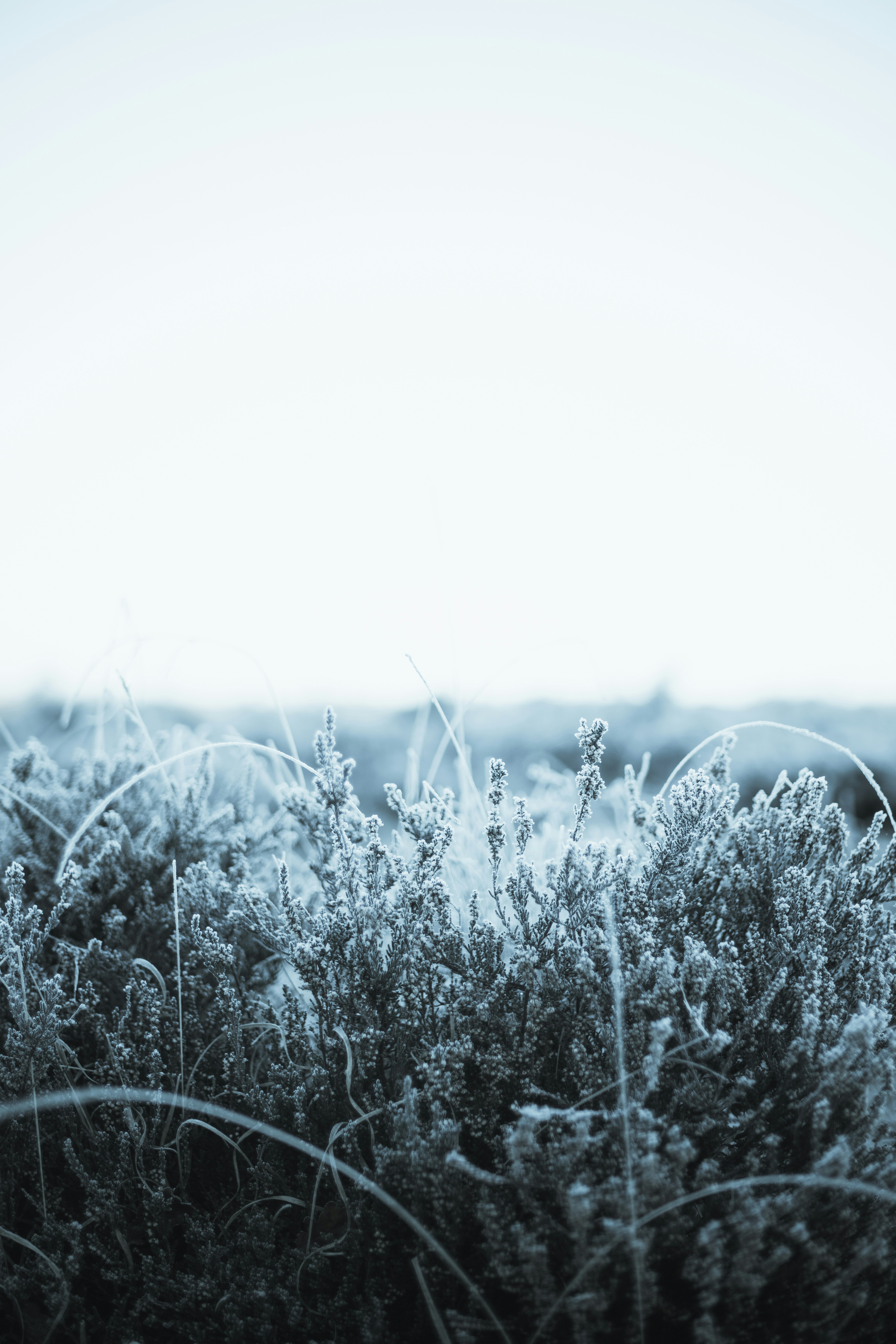 Photo by anniespratt