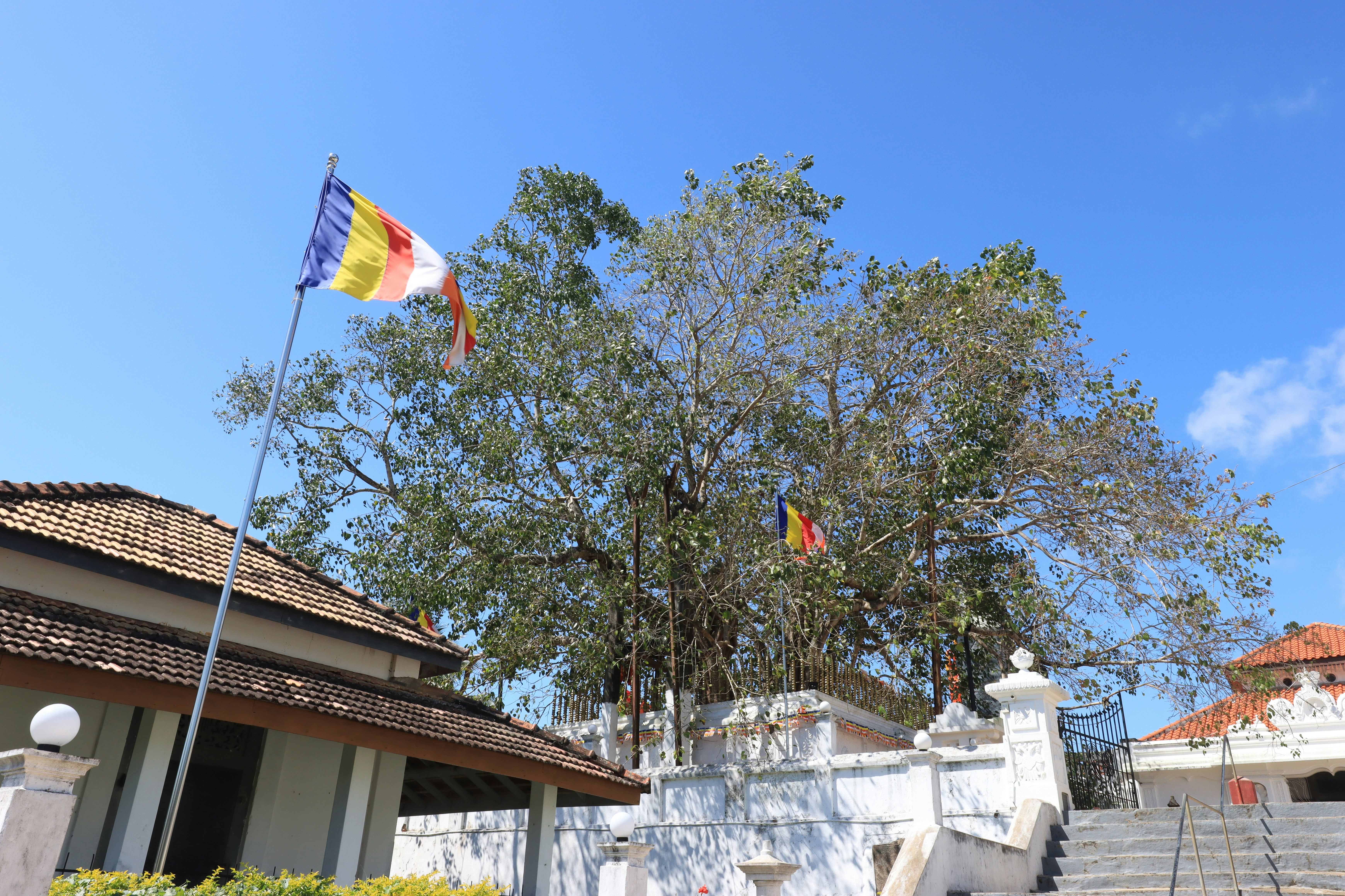 Exploring the Linguistic Diversity of Buddhist Resources