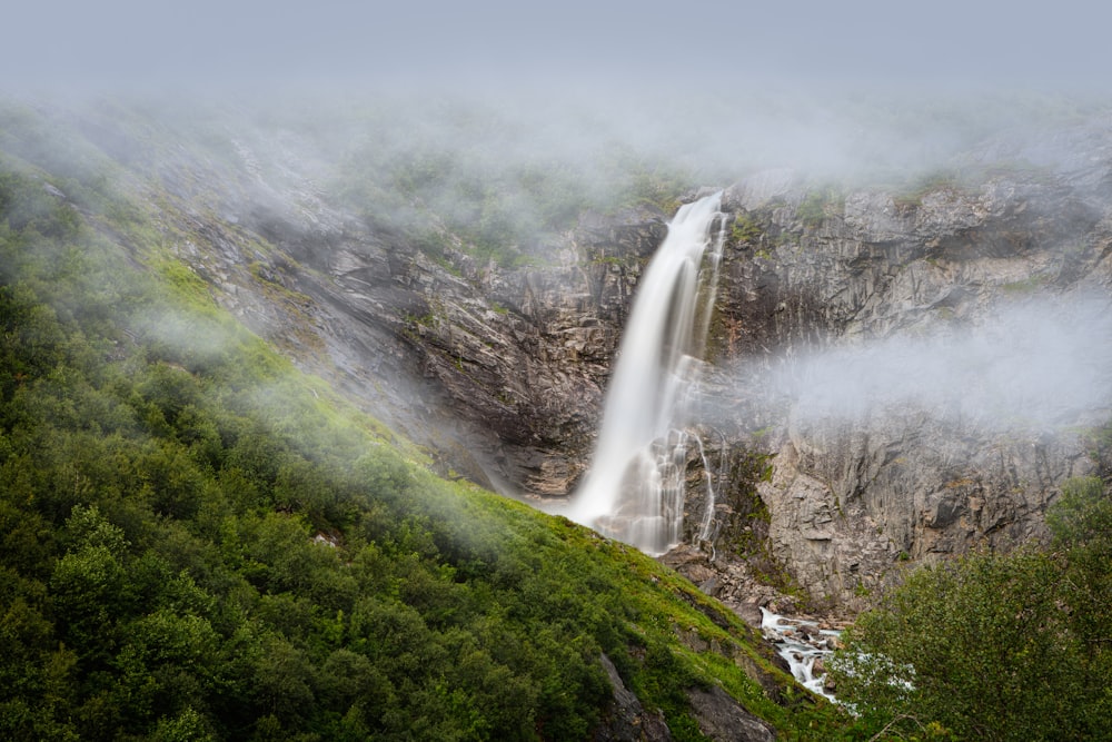 Una cascada en medio de un bosque