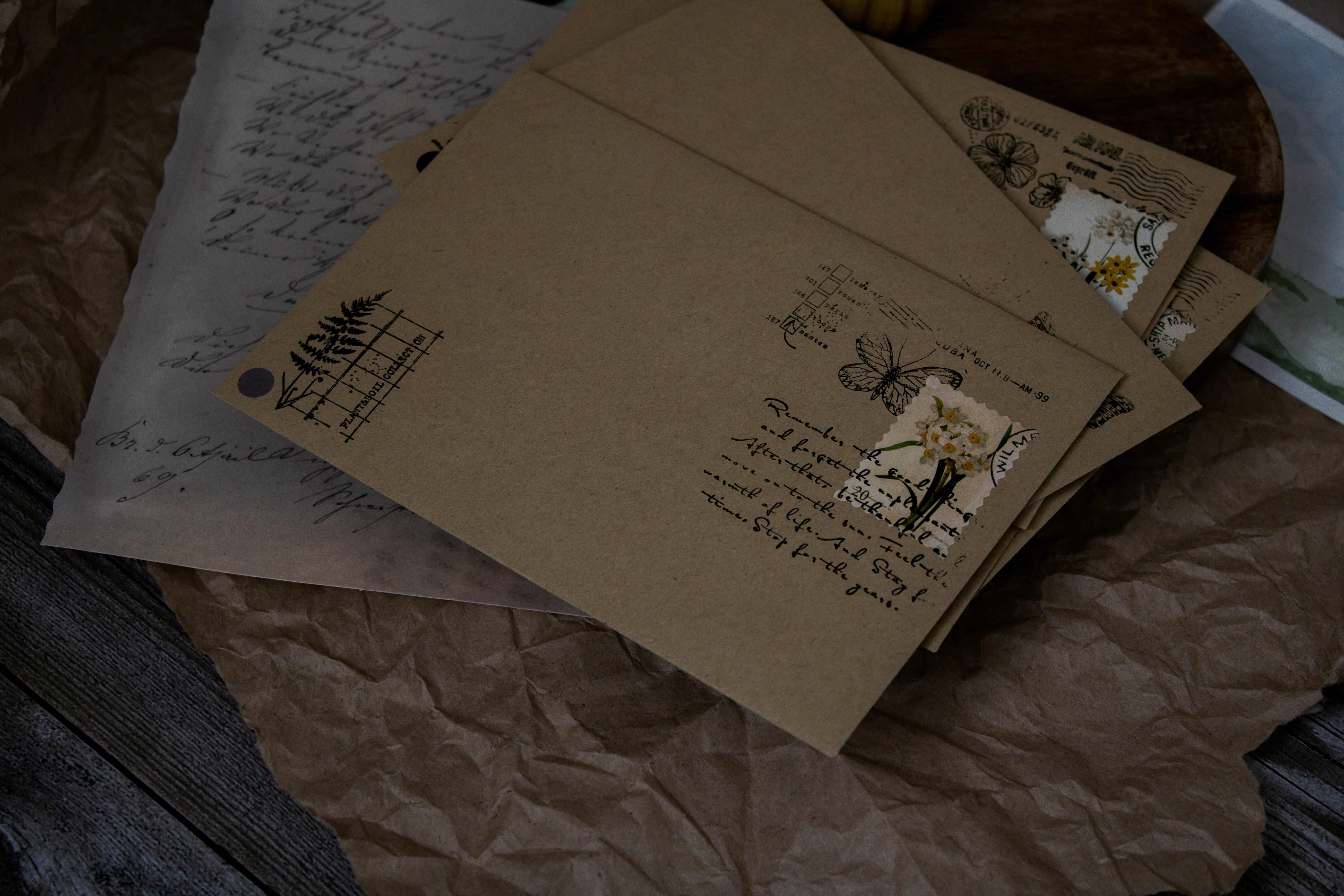 Photo by this_misty_garden