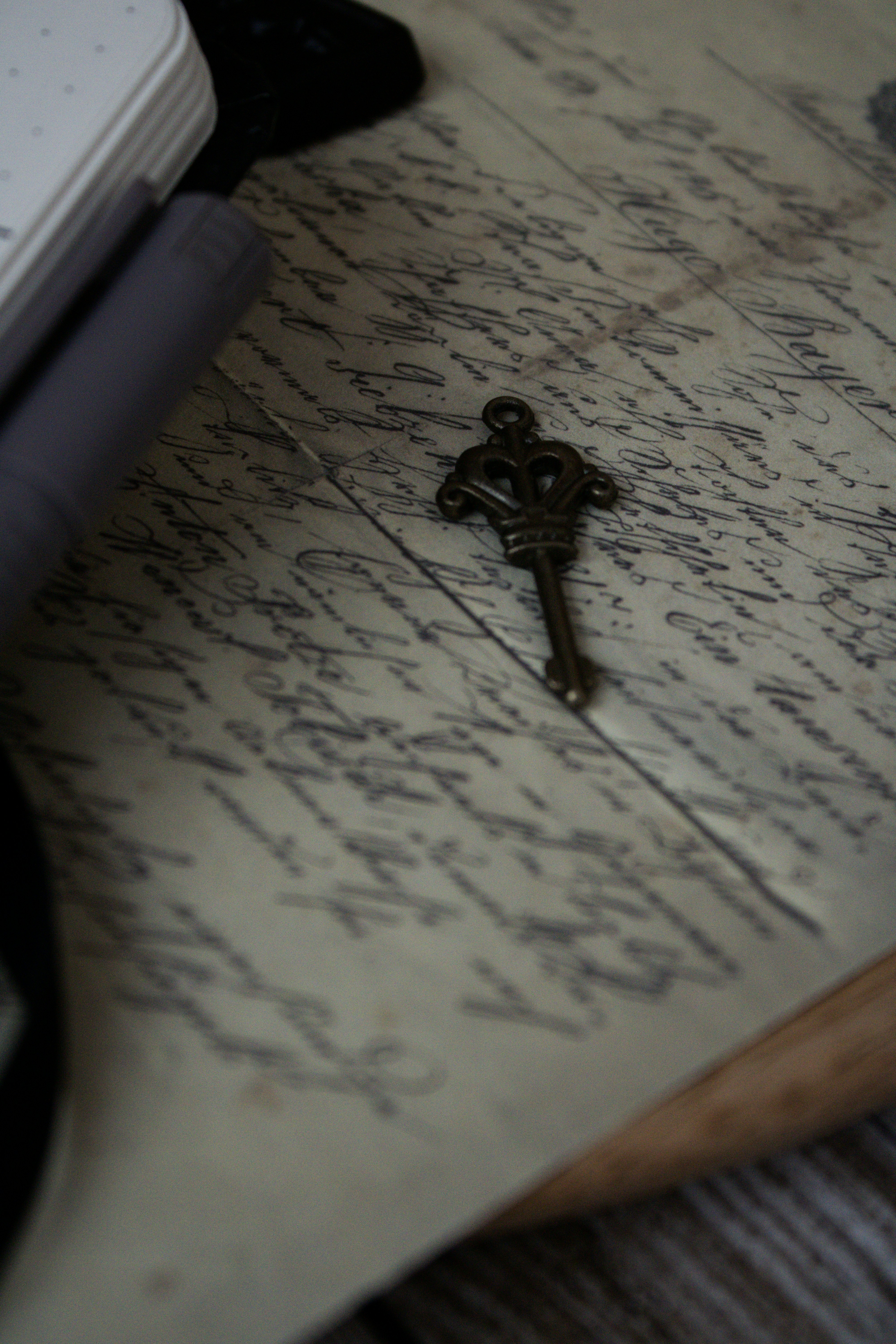 Photo by this_misty_garden