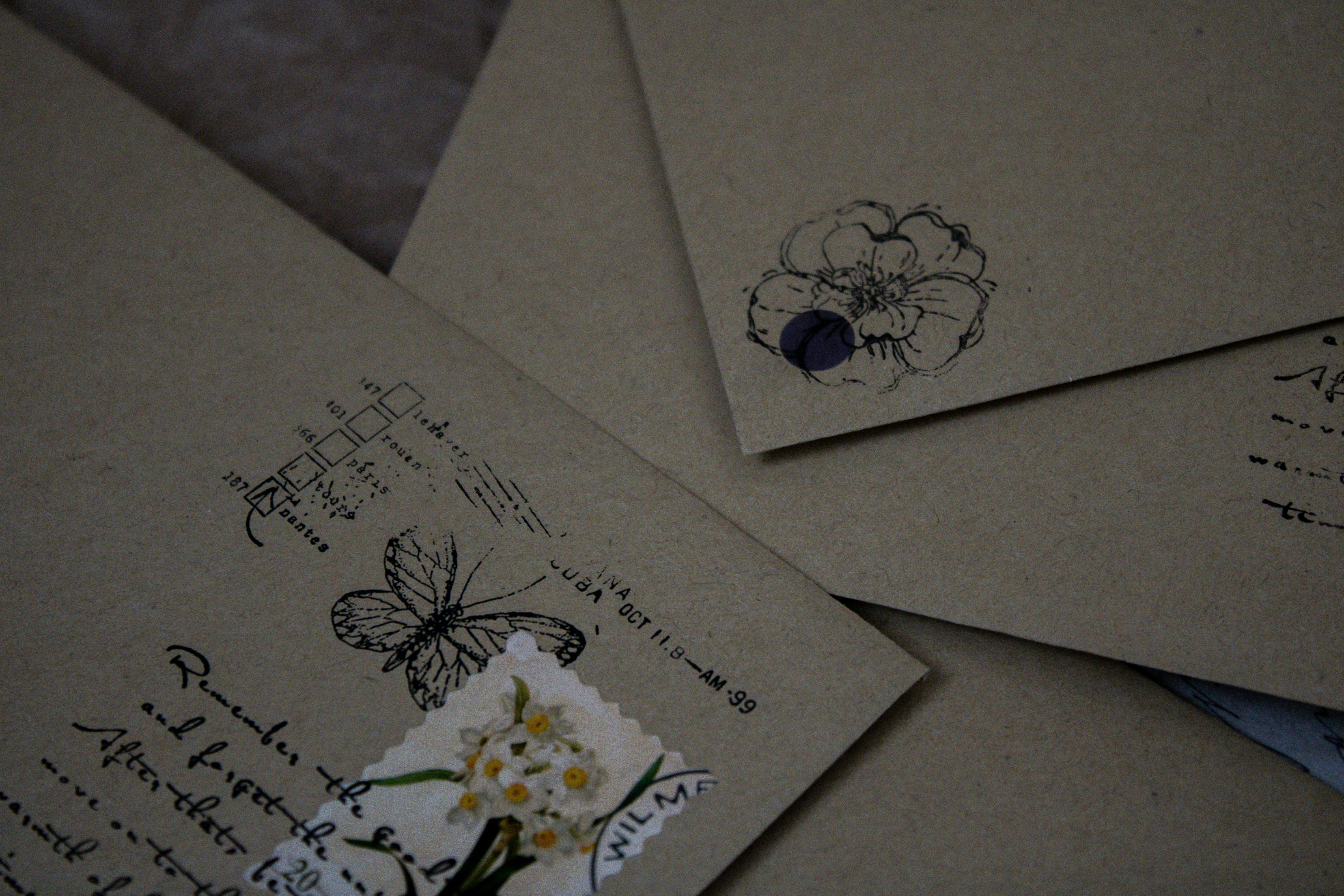 Photo by this_misty_garden