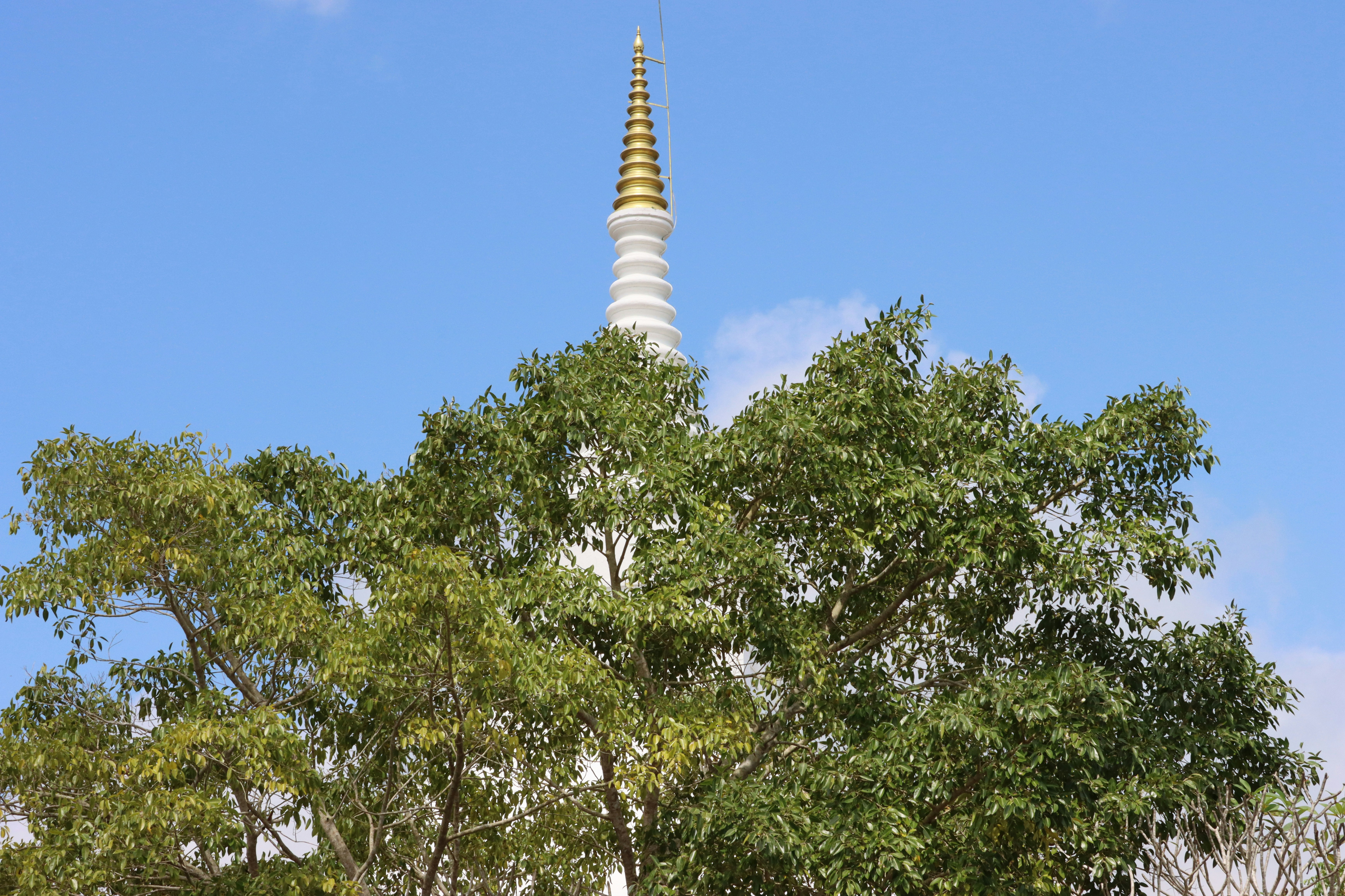 Photo by rathna_deepaya