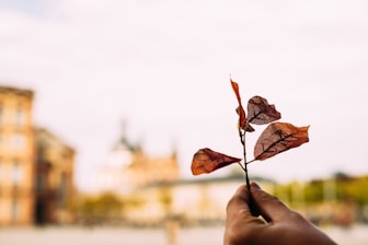 Close-up of hands shaking with a backdrop of residential buildings