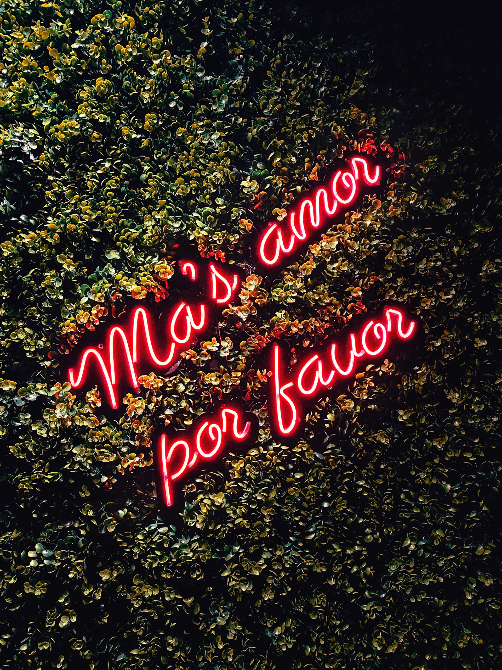 a couple of neon signs that are on the side of a wall