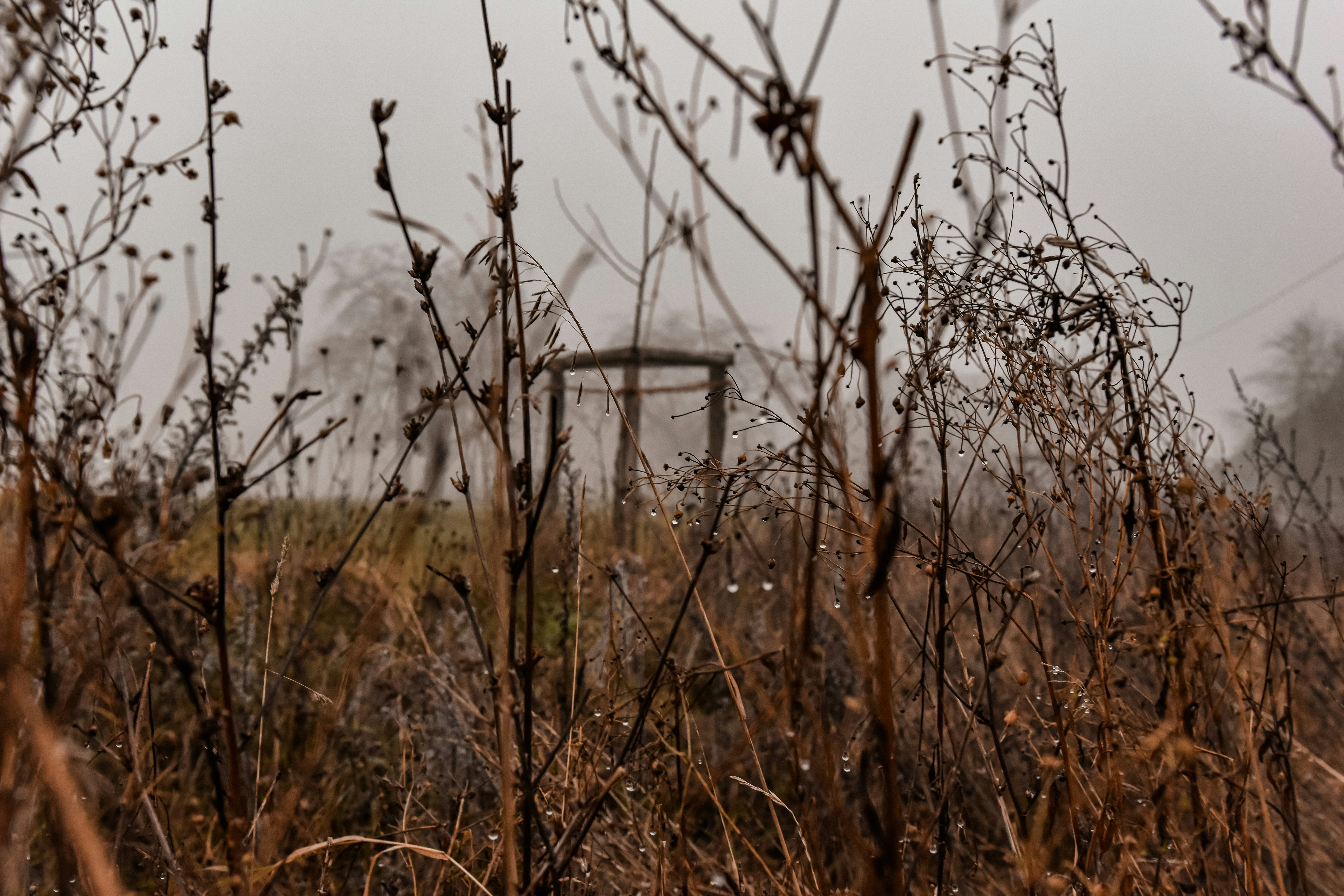 Photo by lauravalkyrja