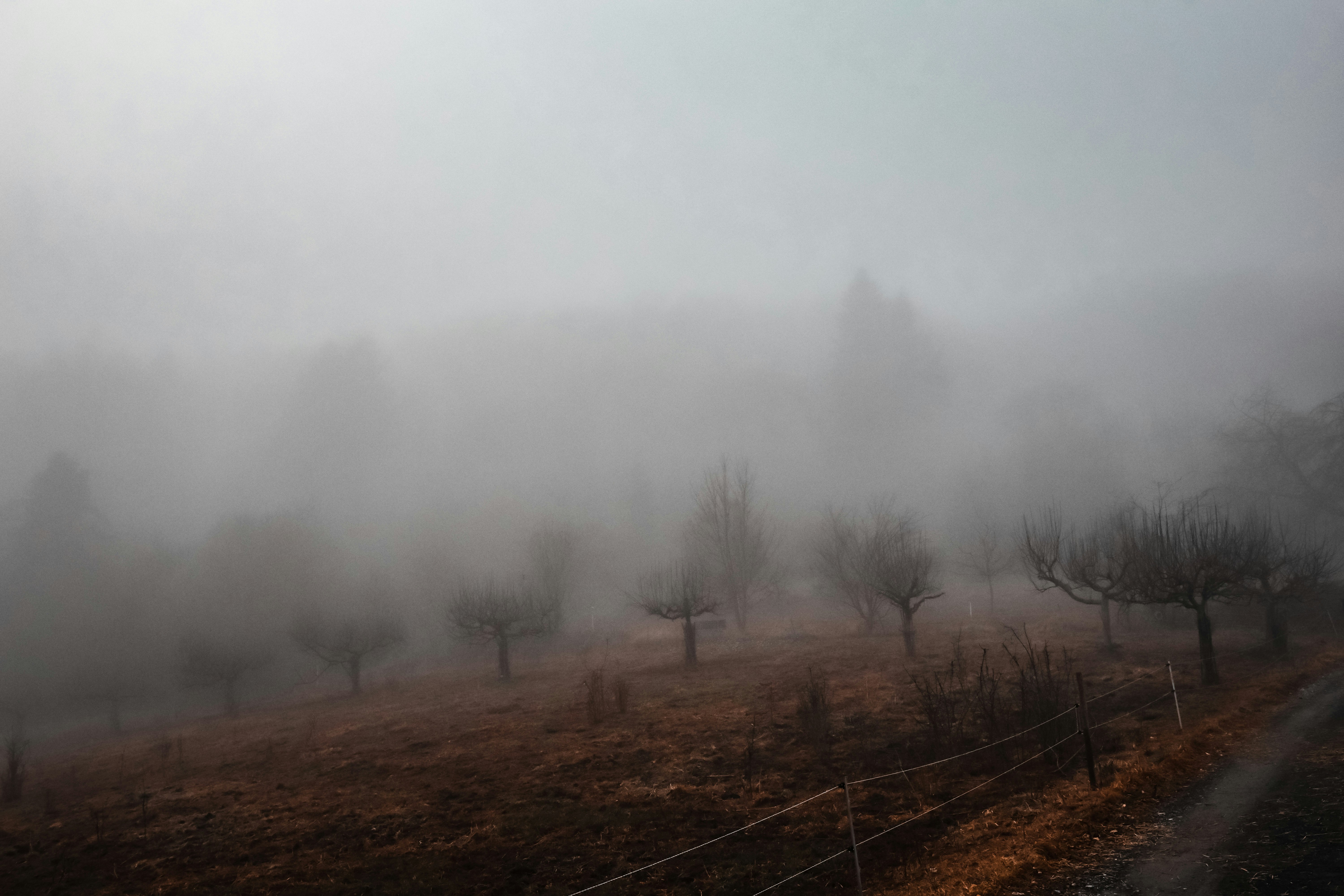 Photo by lauravalkyrja