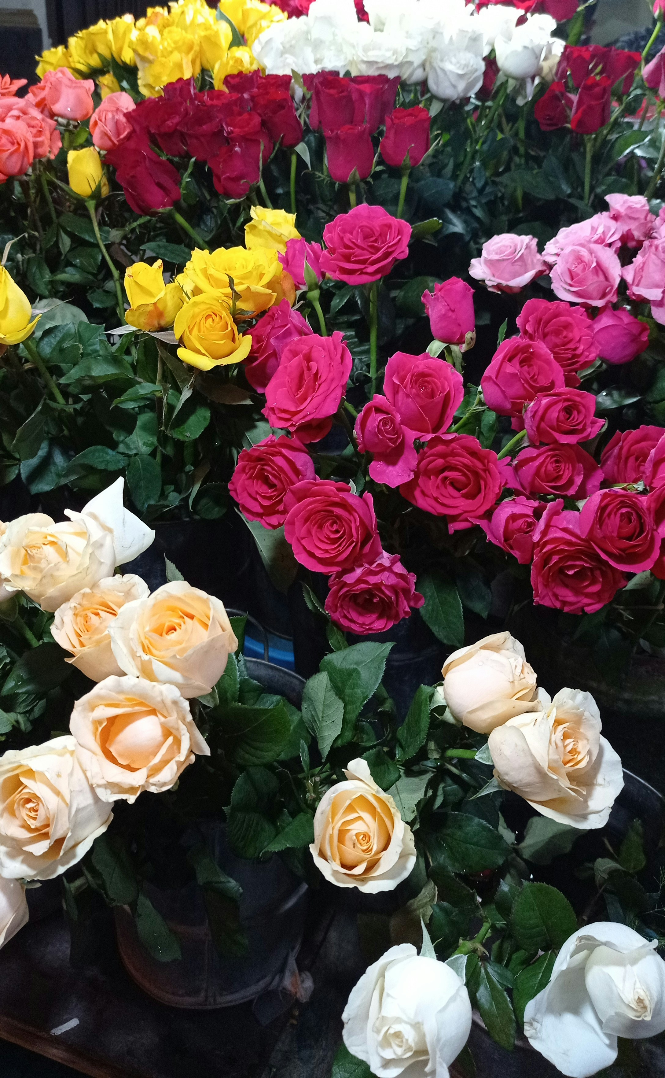 a bunch of flowers that are in a vase