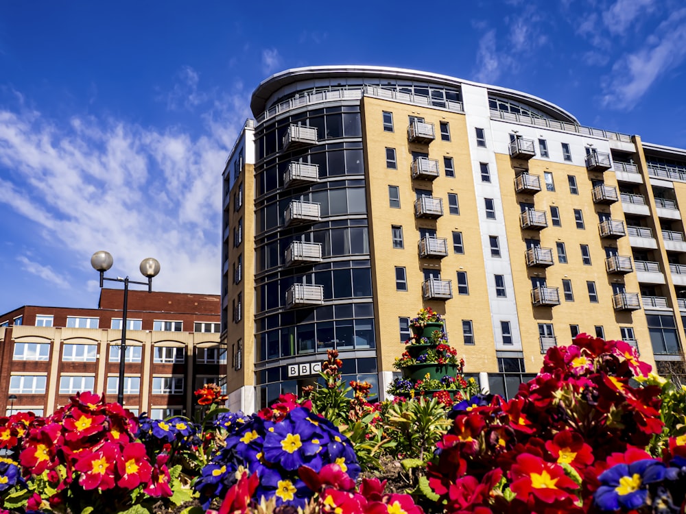 a bunch of flowers that are in front of a building