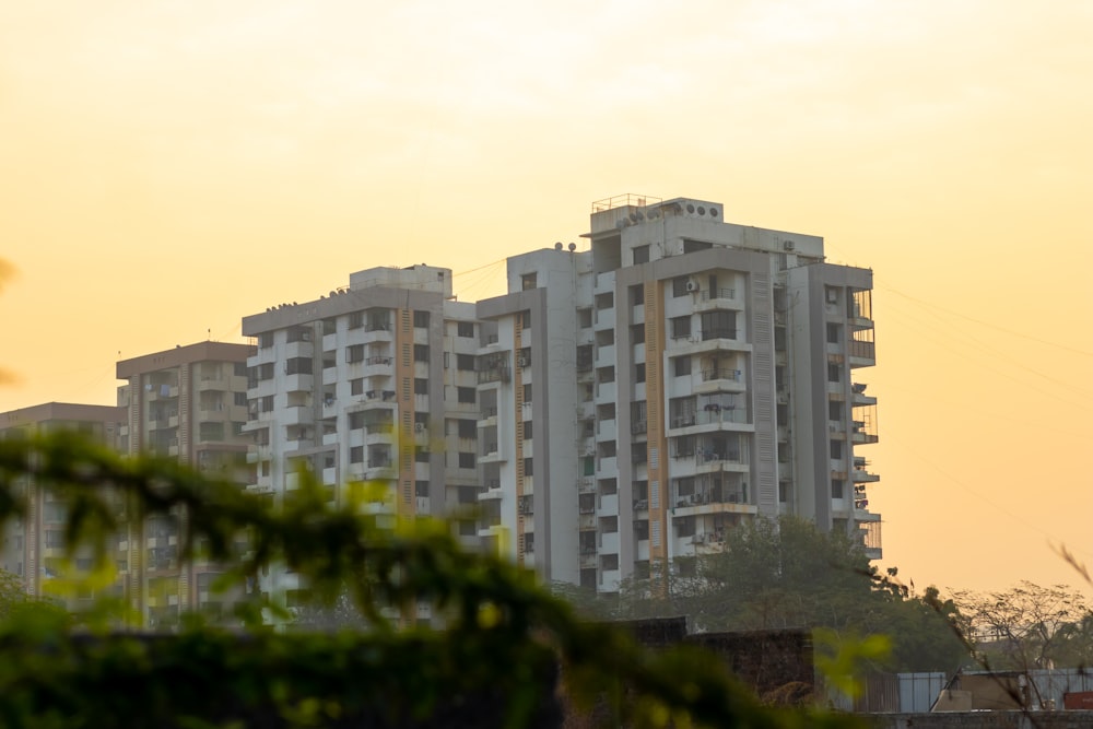 a tall building sitting next to a lush green forest