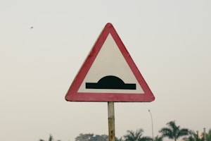 Plastic Speed Breaker