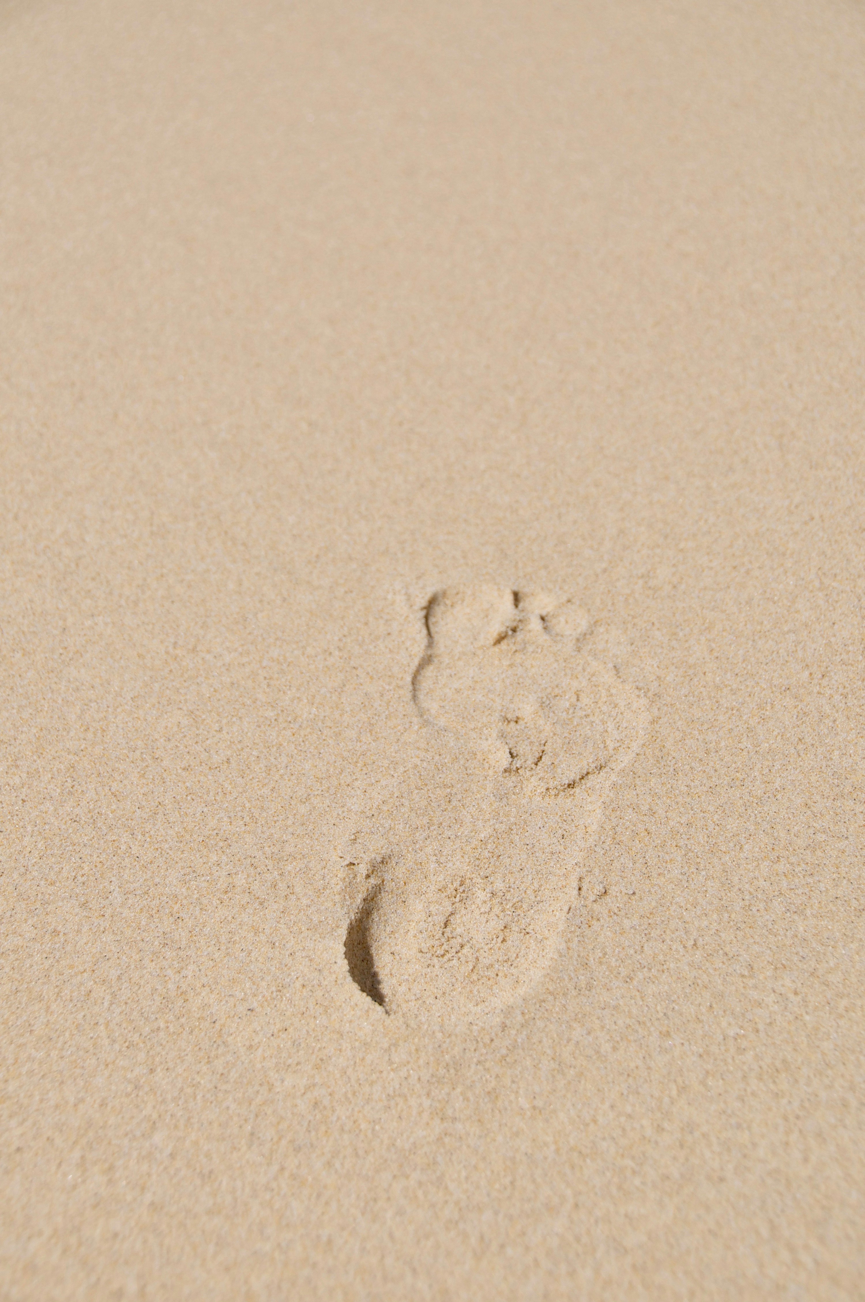 Photo by swabdesign_official