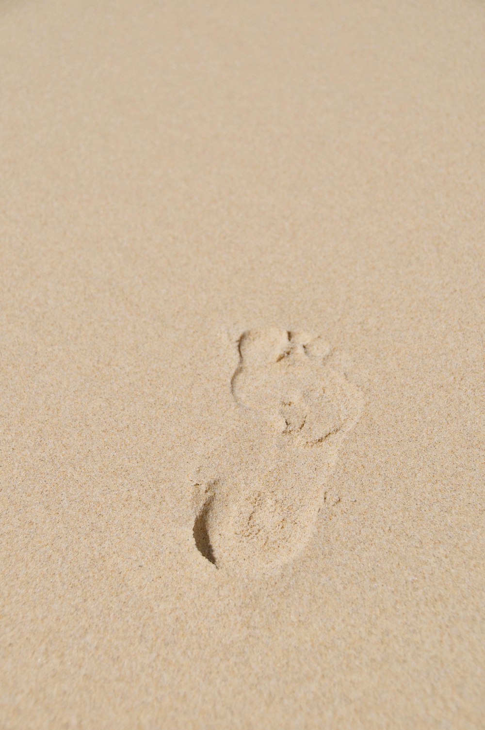 a footprints in the sand of a beach