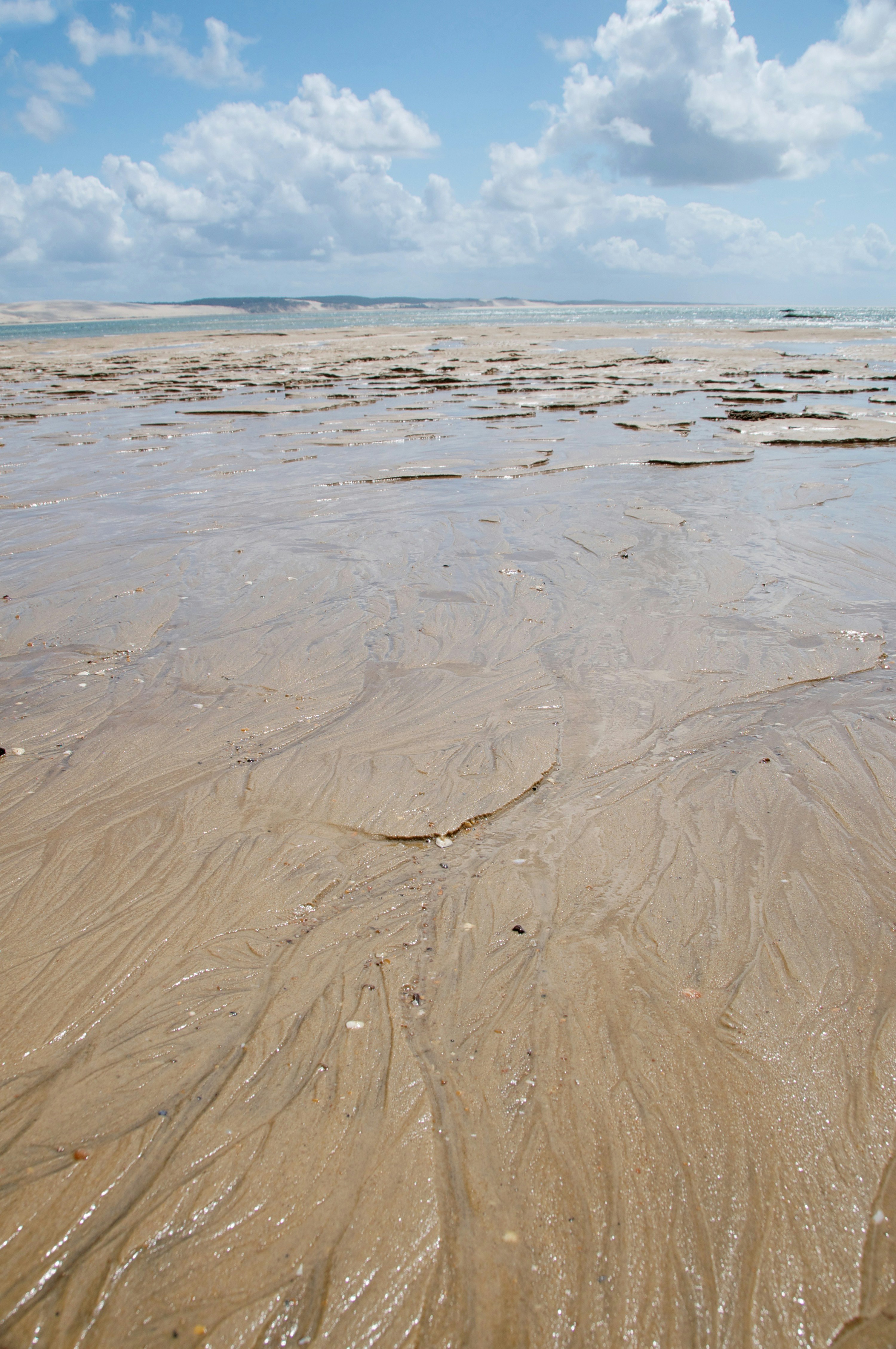 Photo by swabdesign_official