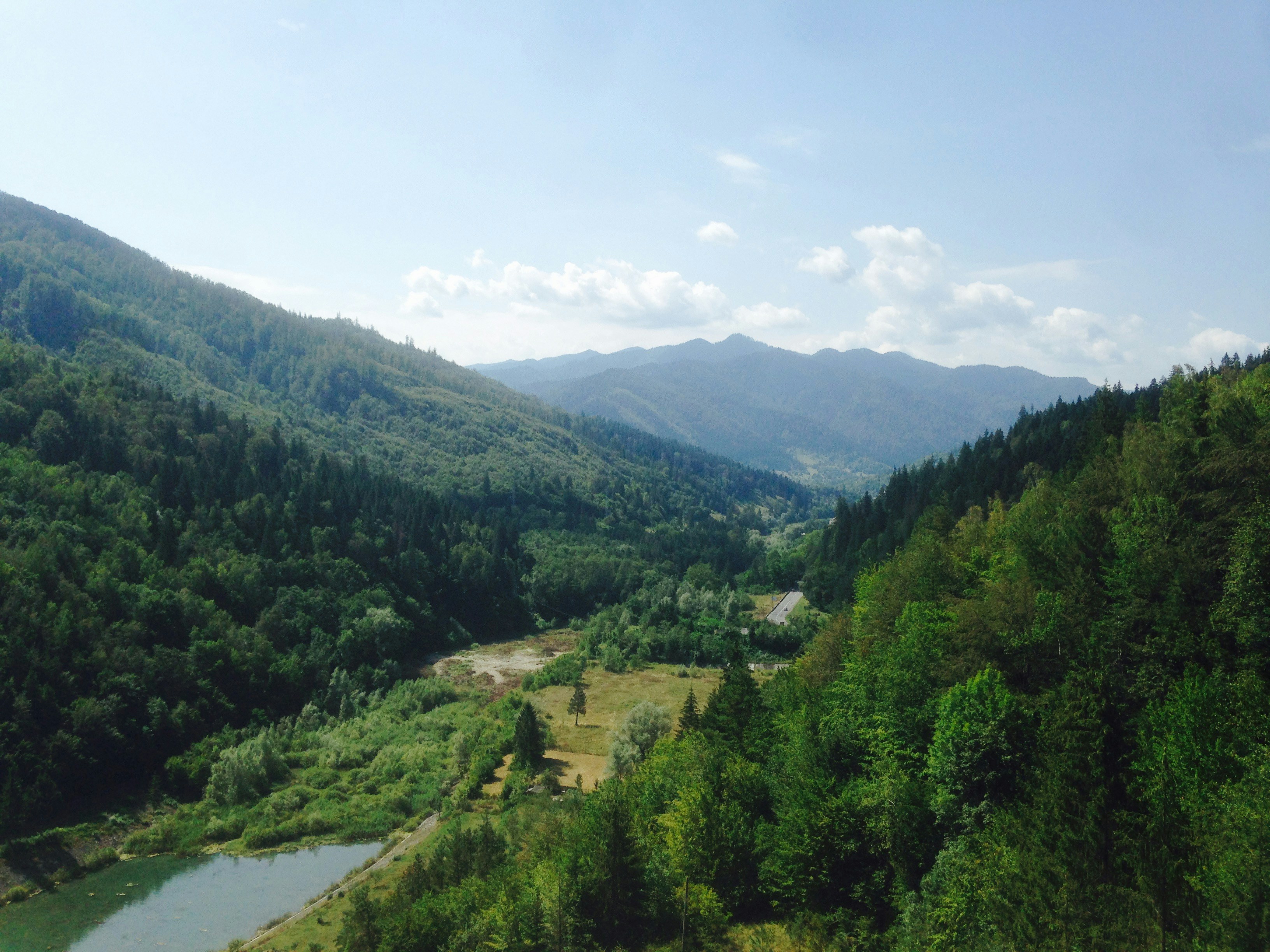 a river running through a lush green forest