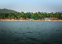 Best Pet-Friendly Hotels and Stays in Palolem for Travelers With Furry Companions
