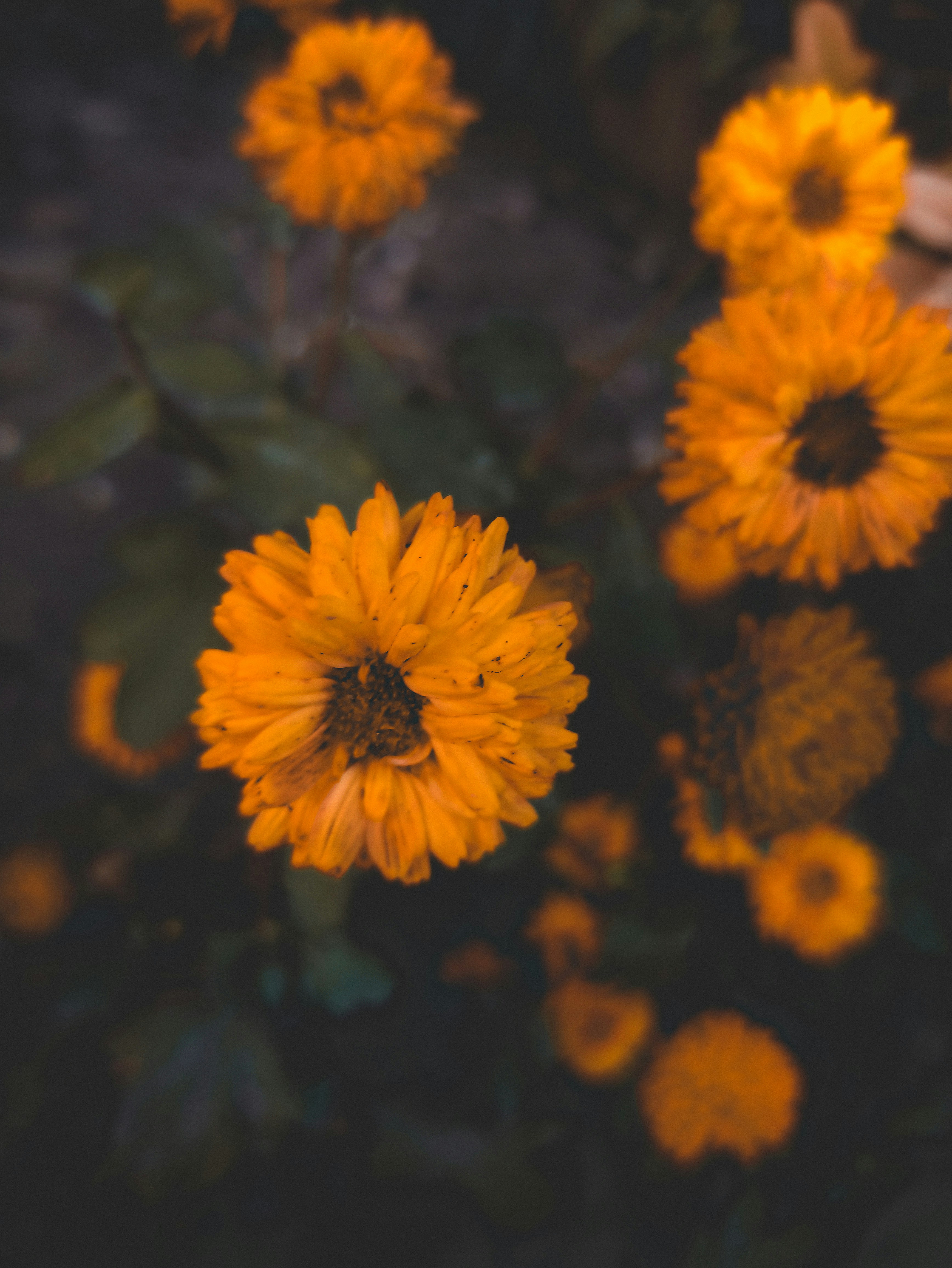 Photo by decomposeeeee