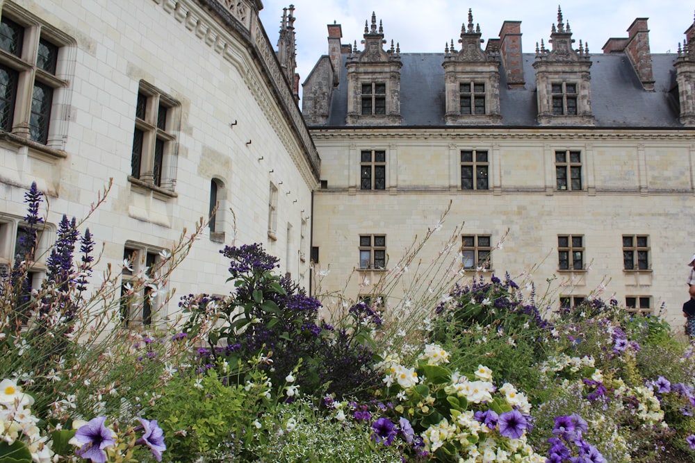 a large building with a lot of flowers in front of it
