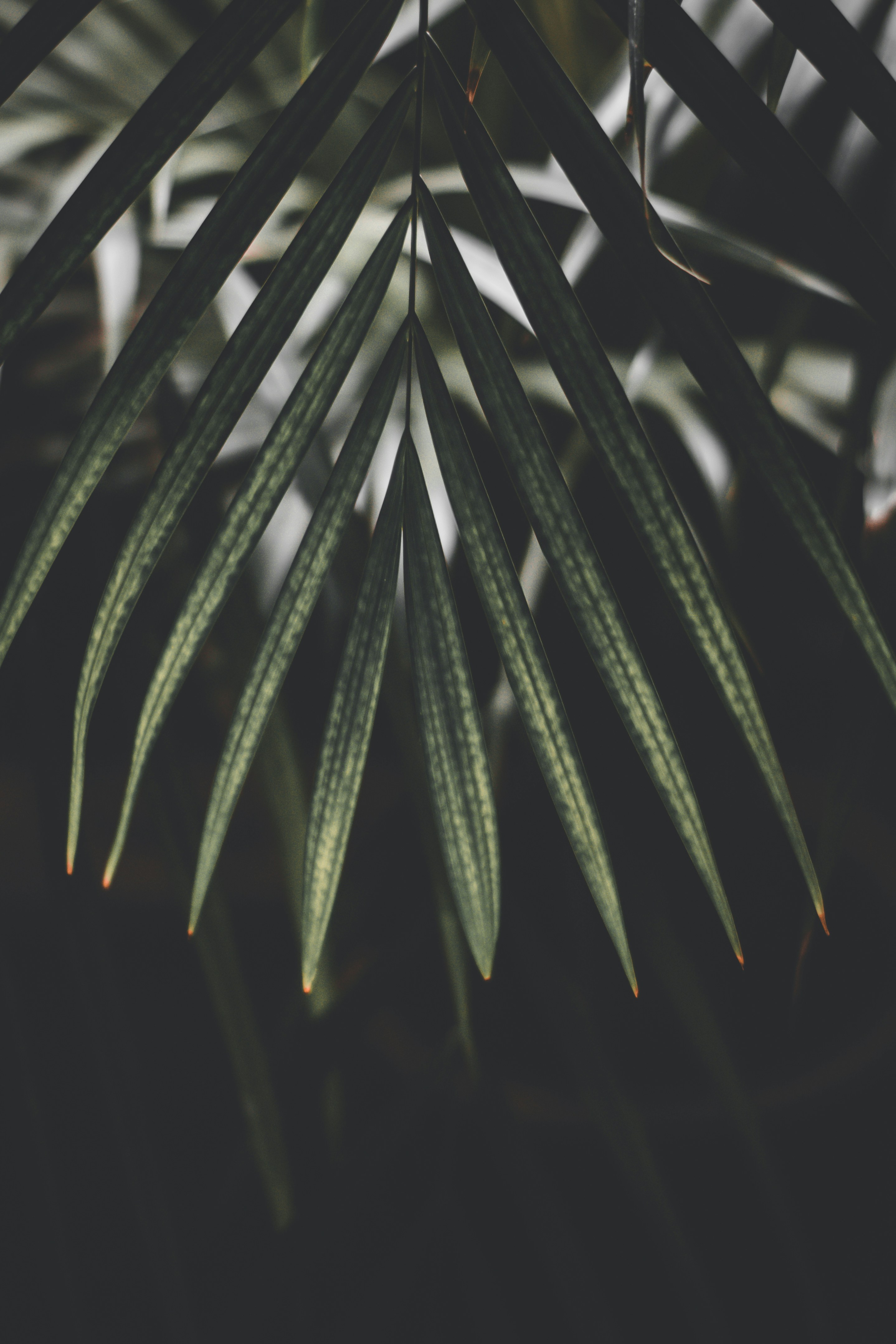 Photo by elliottmason