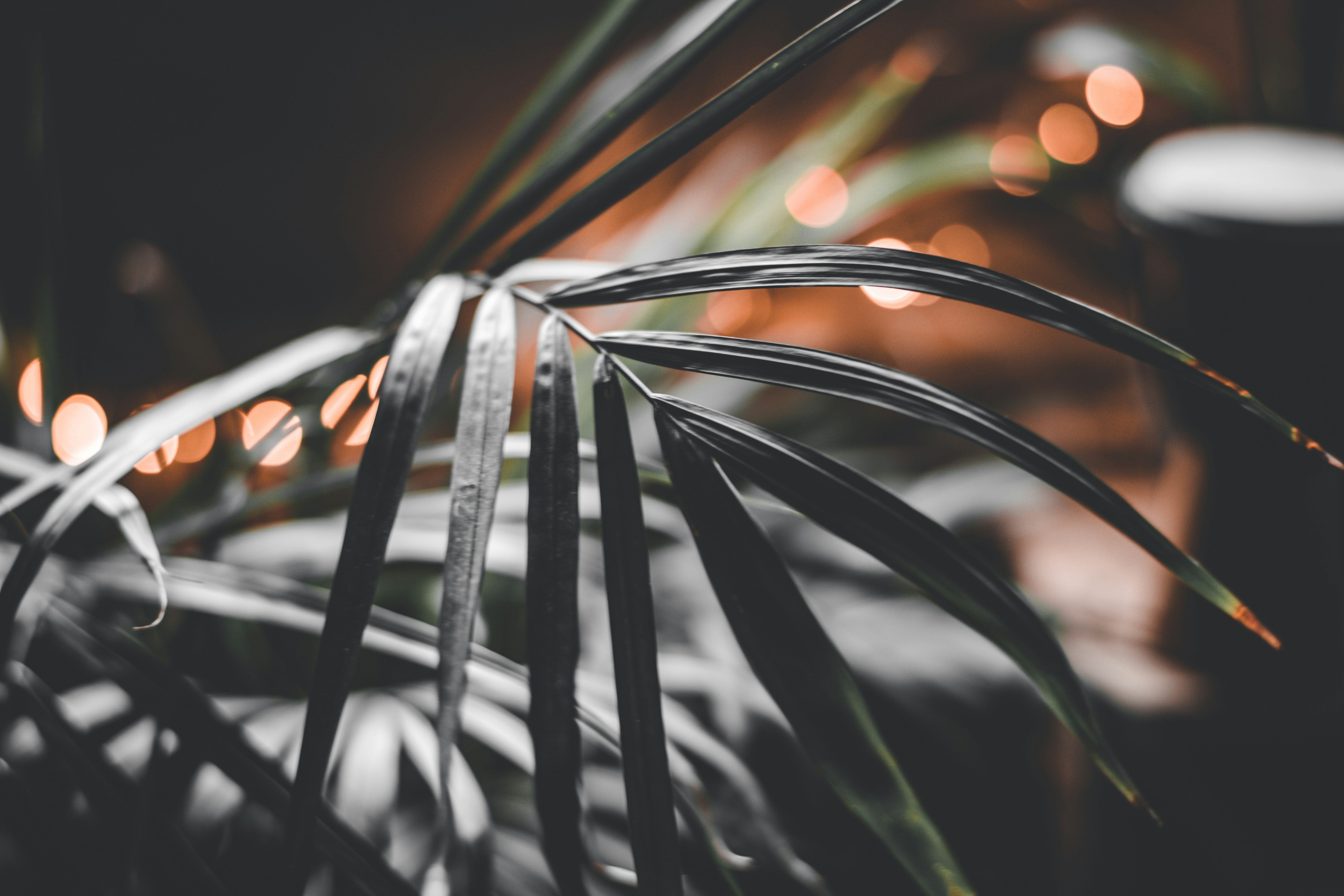 Photo by elliottmason