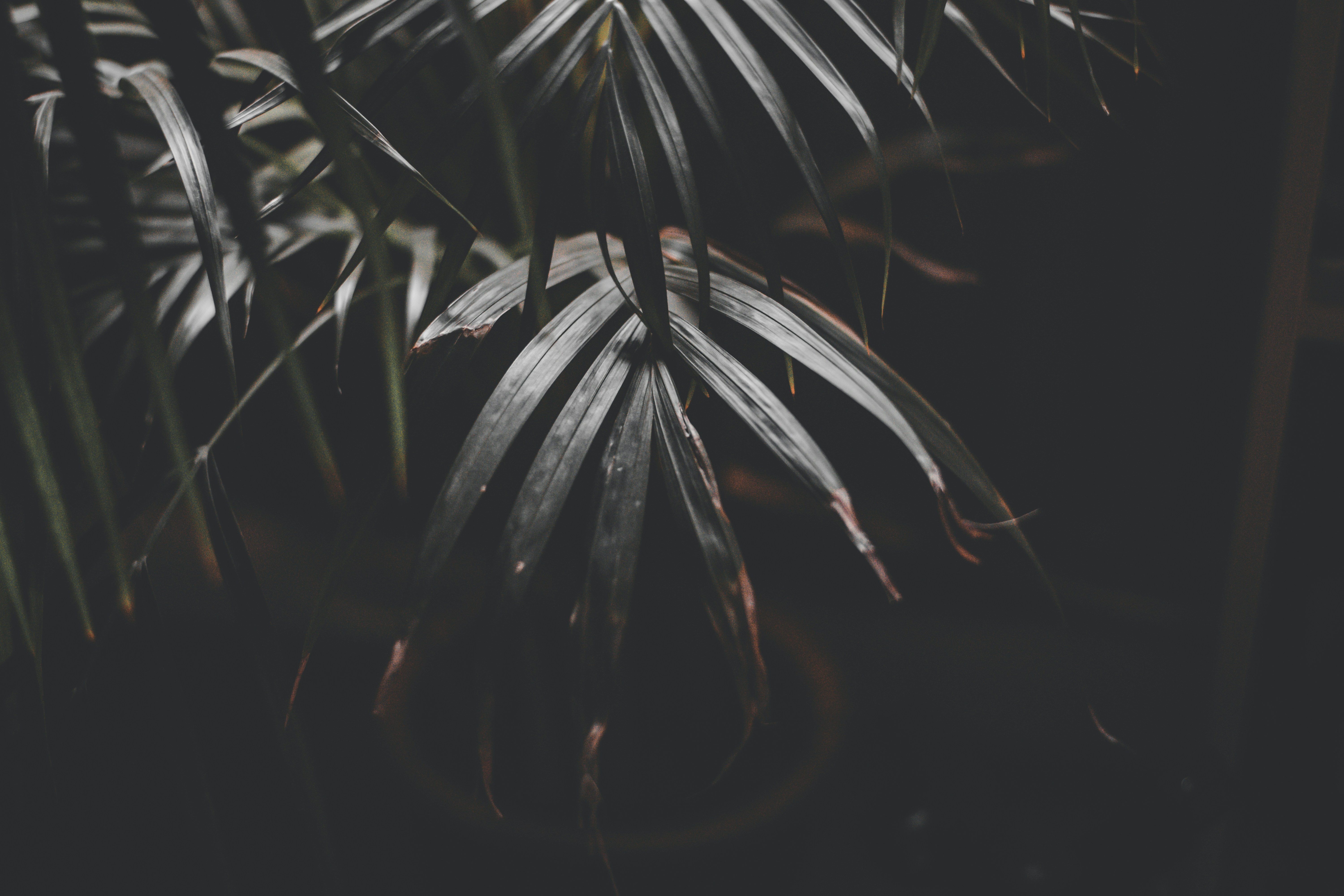 Photo by elliottmason