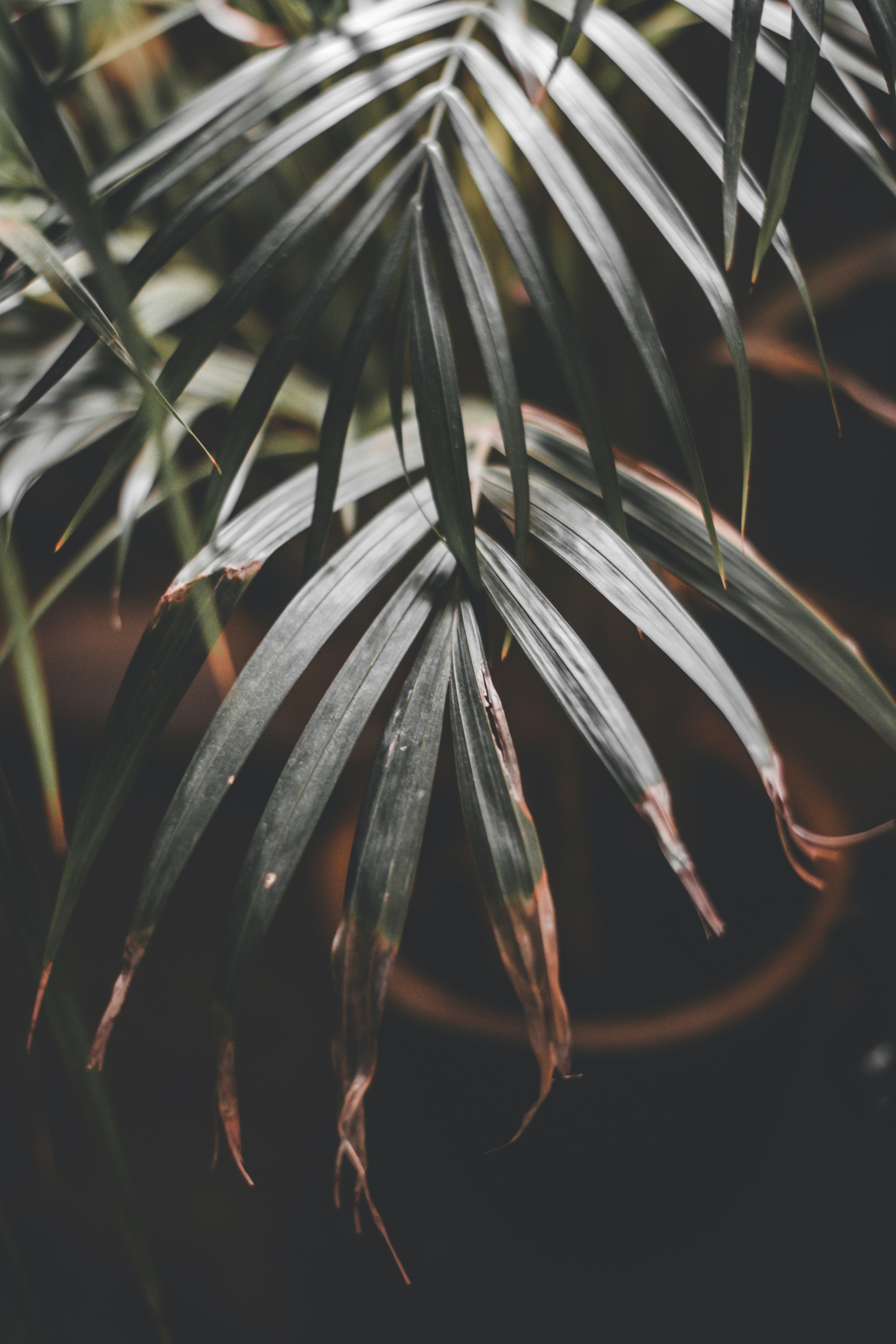 Photo by elliottmason