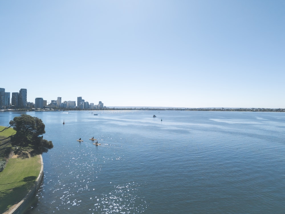 Un cuerpo de agua con una ciudad al fondo