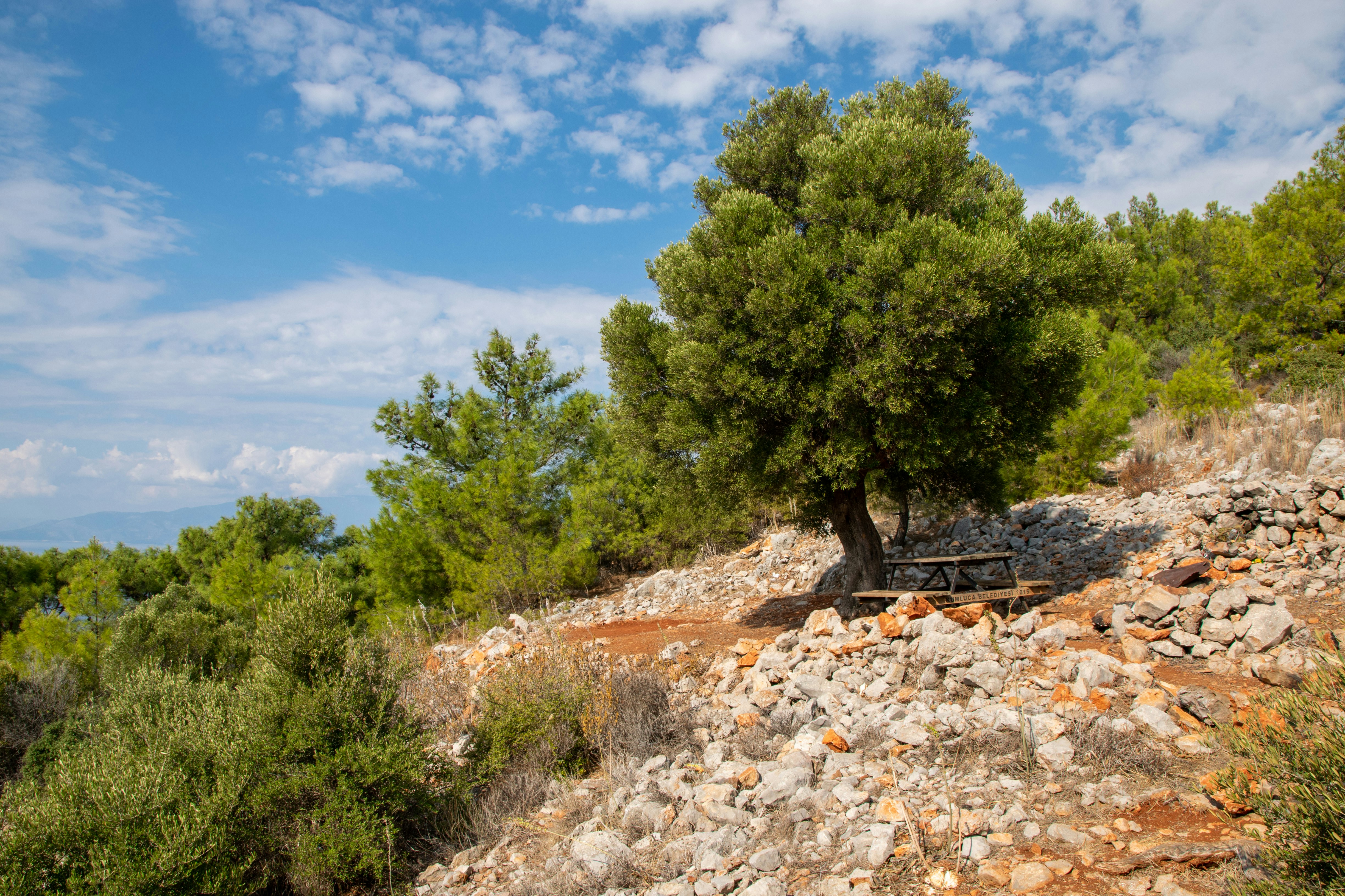 Photo by anastasiya_dal