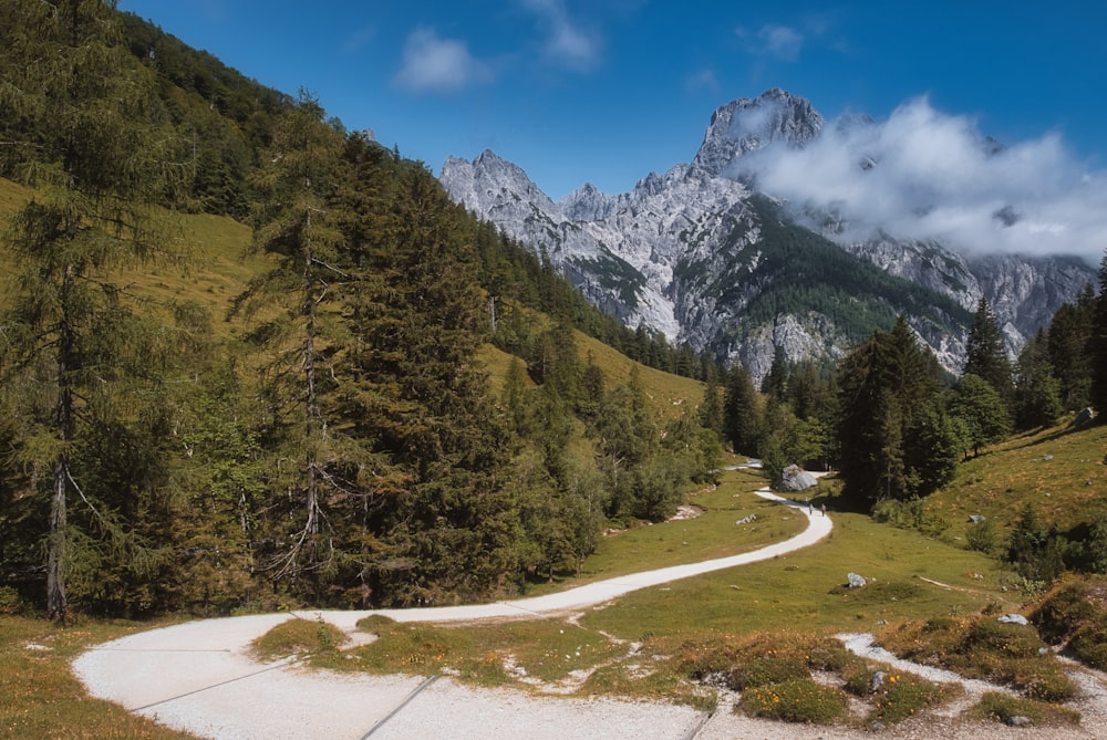 a winding road in the mountains surrounded by trees