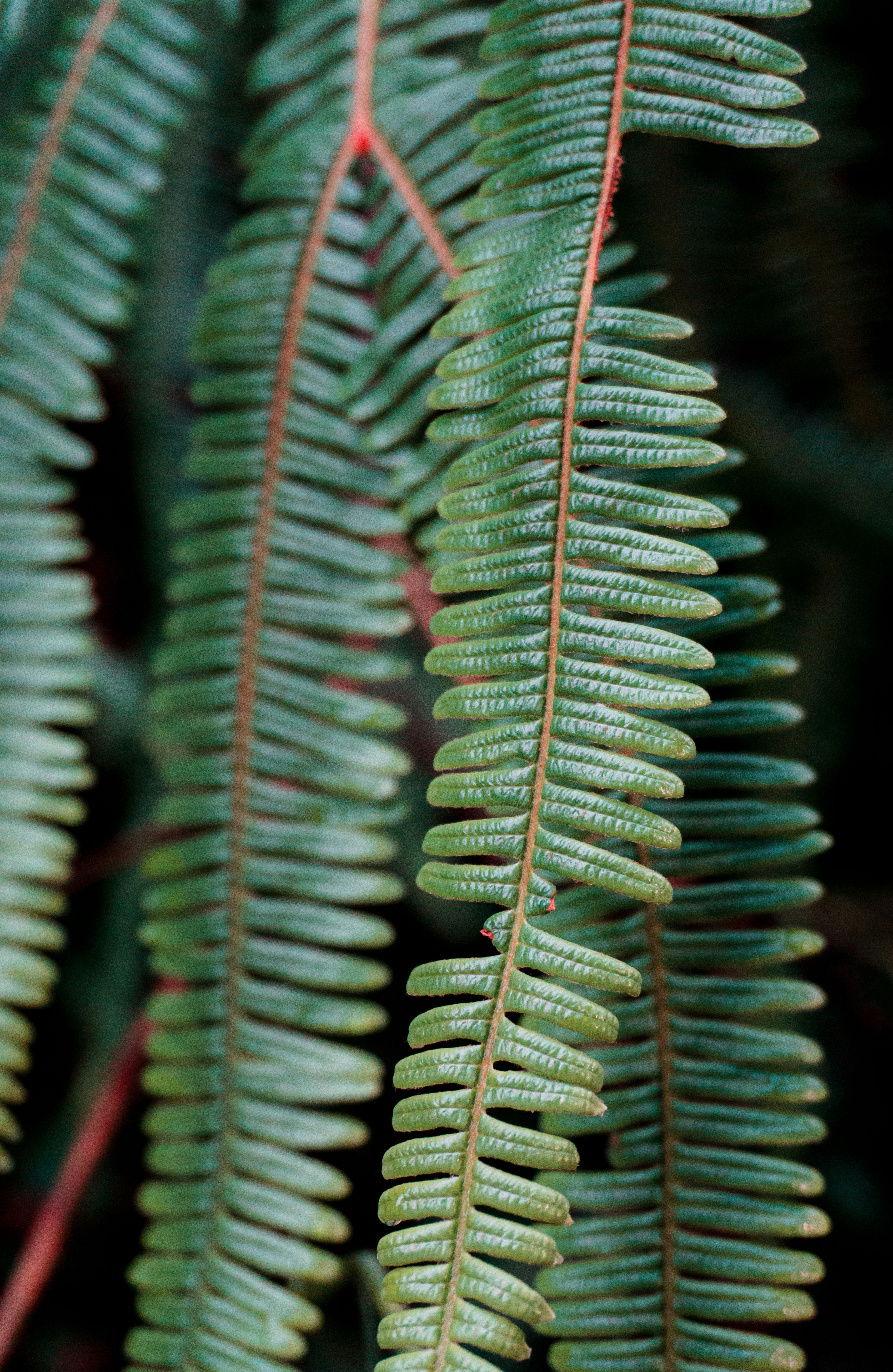 Photo by leonardo_64