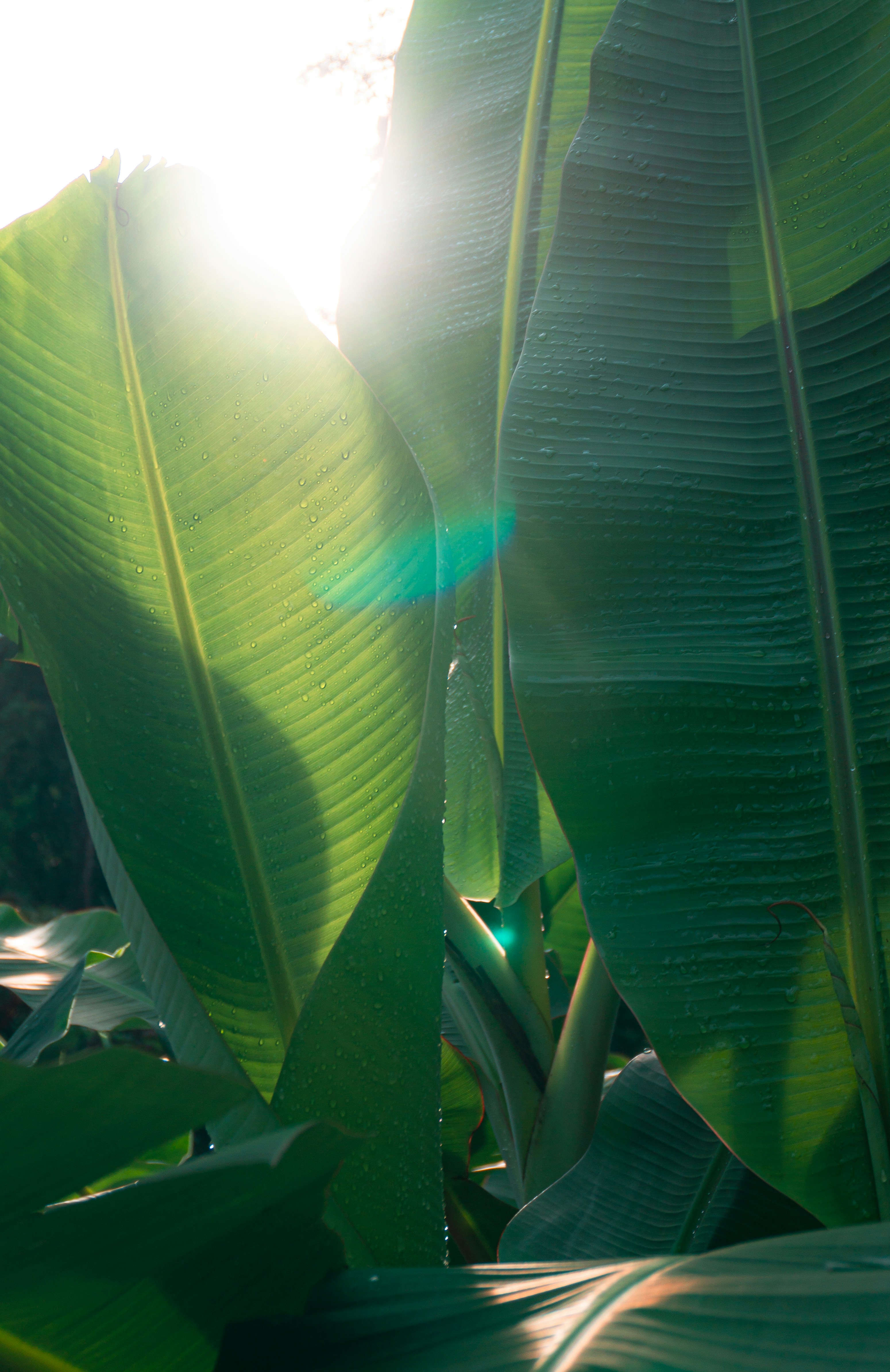 Photo by leonardo_64